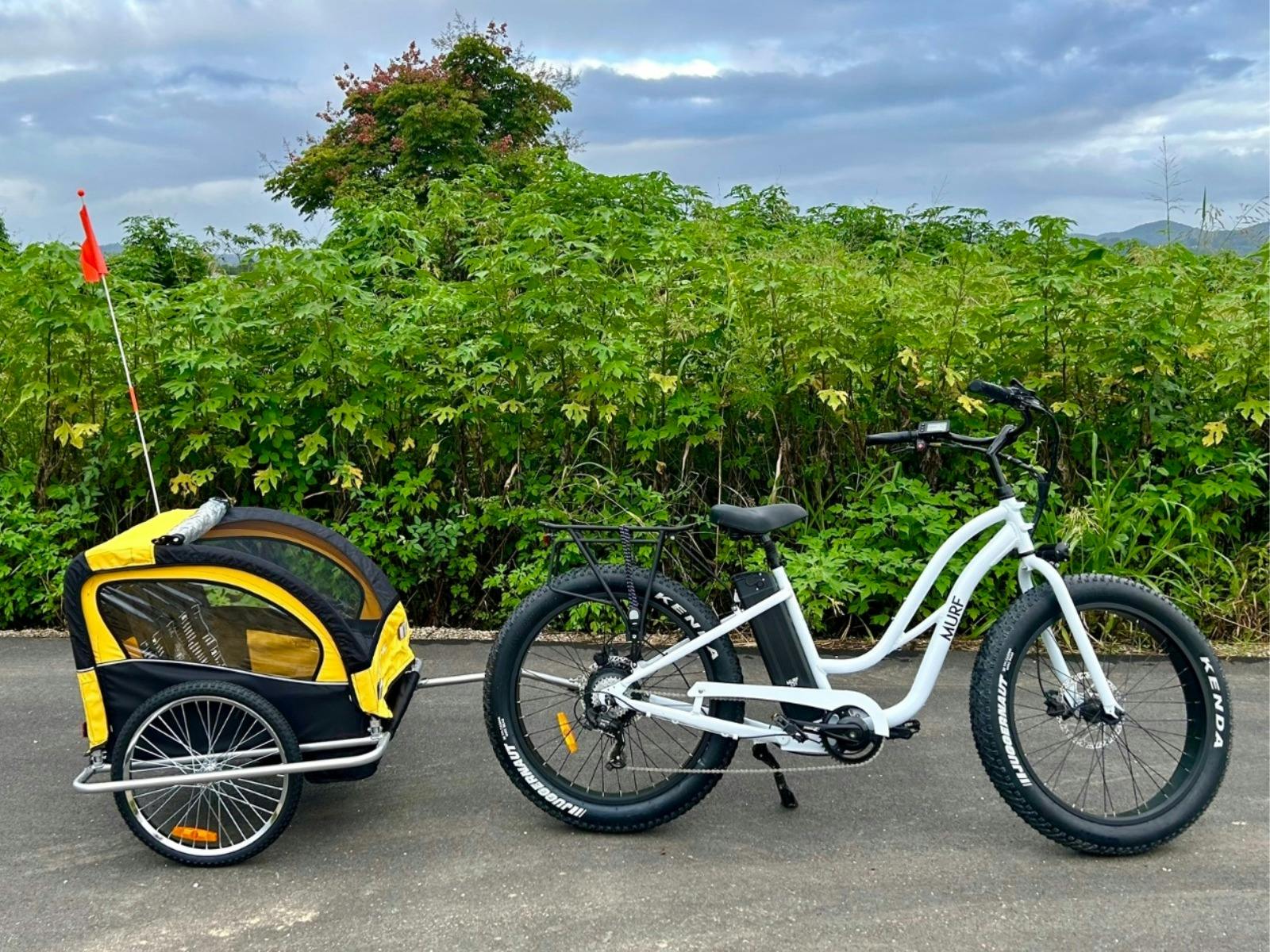 Kids Trailer for ebike hire Northern Rivers Rail Trail