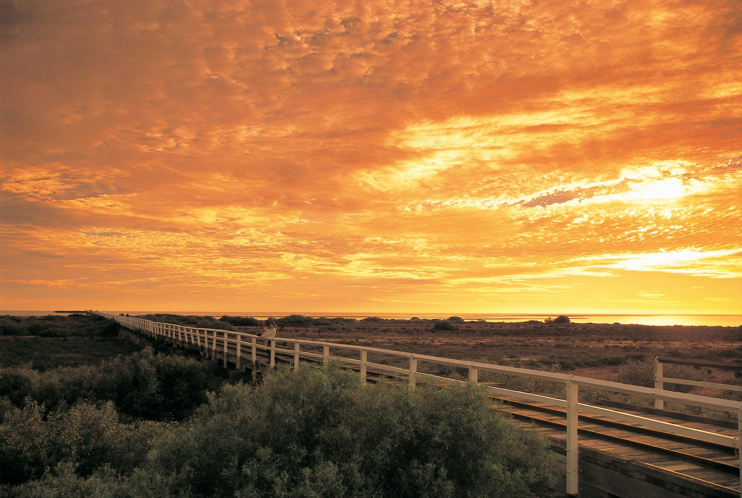 Coral Coast Wildlife, Carnarvon, Western Australia