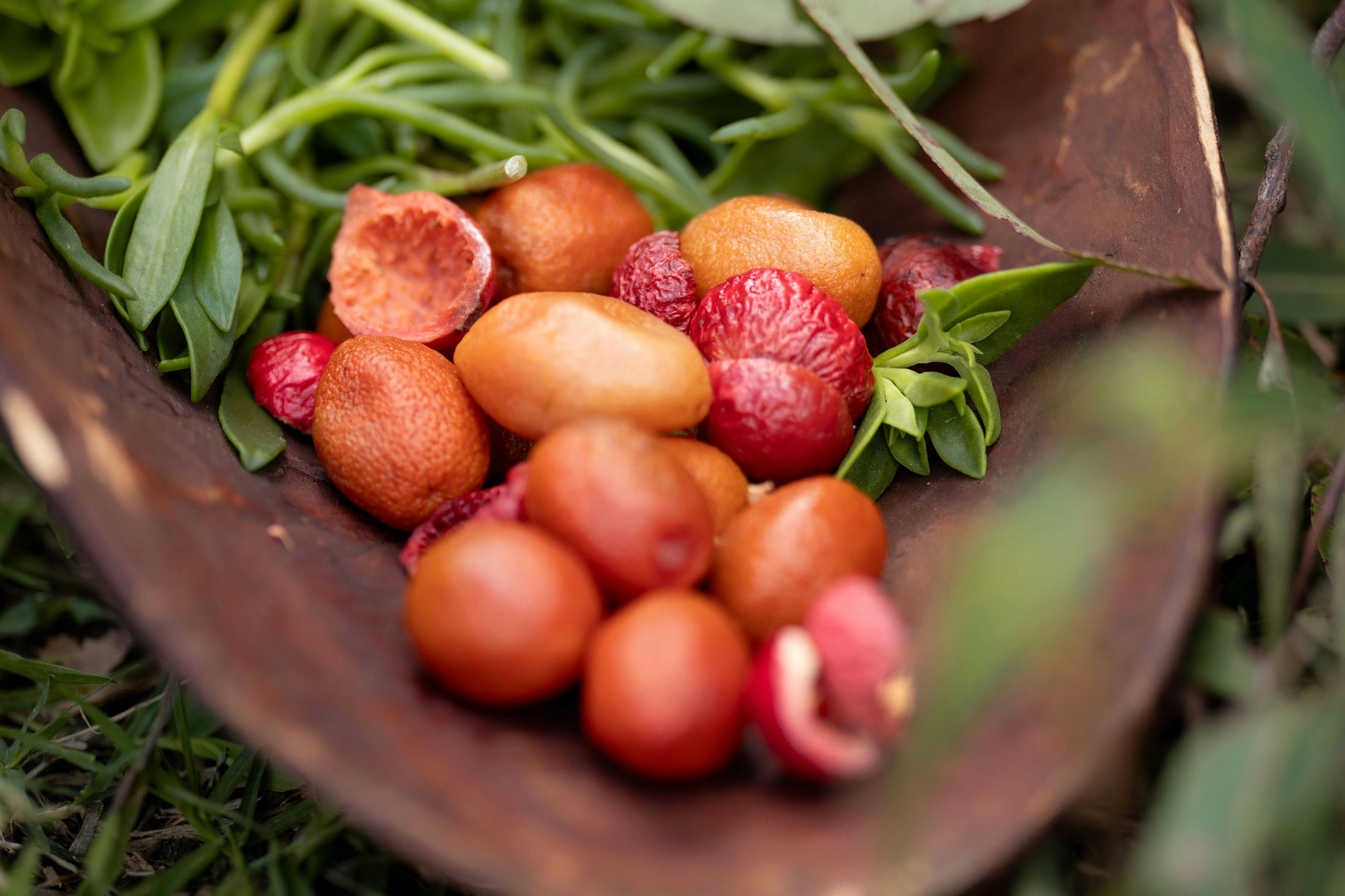 Bundjalung native foods