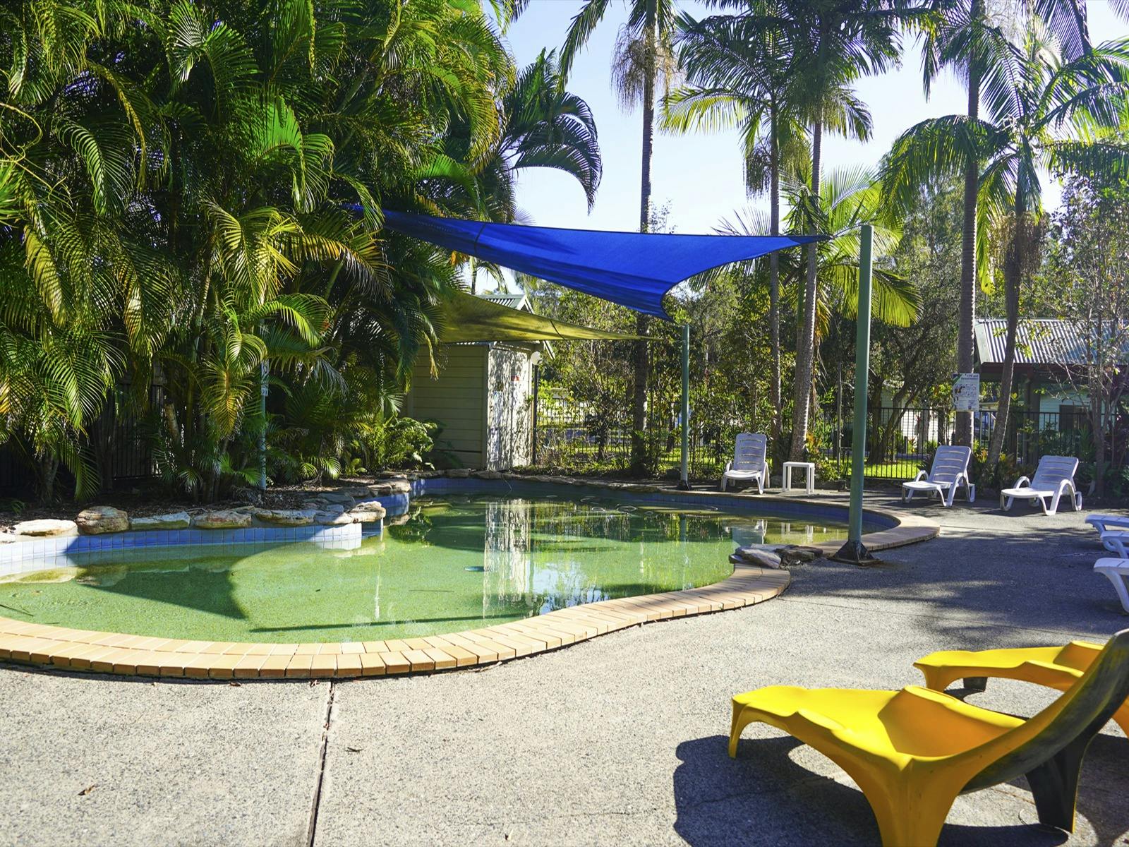 ヤシの木が並ぶプールの横にある黄色いプールチェア