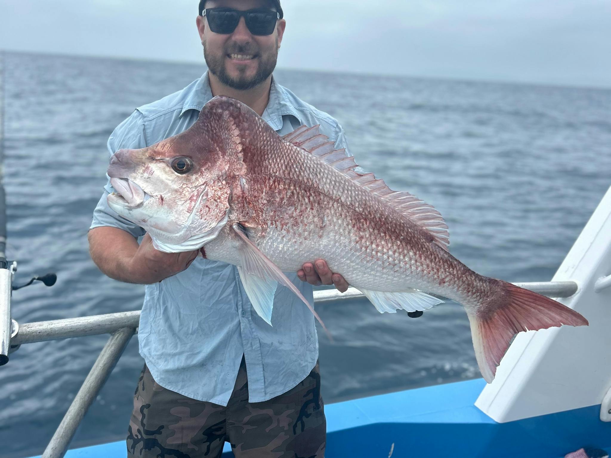 9.5kg snapper