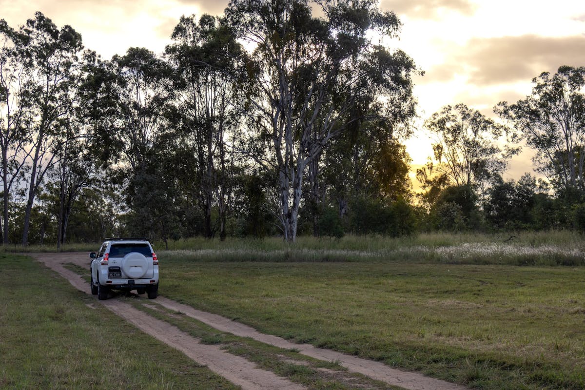Wandering Wallaby Tours