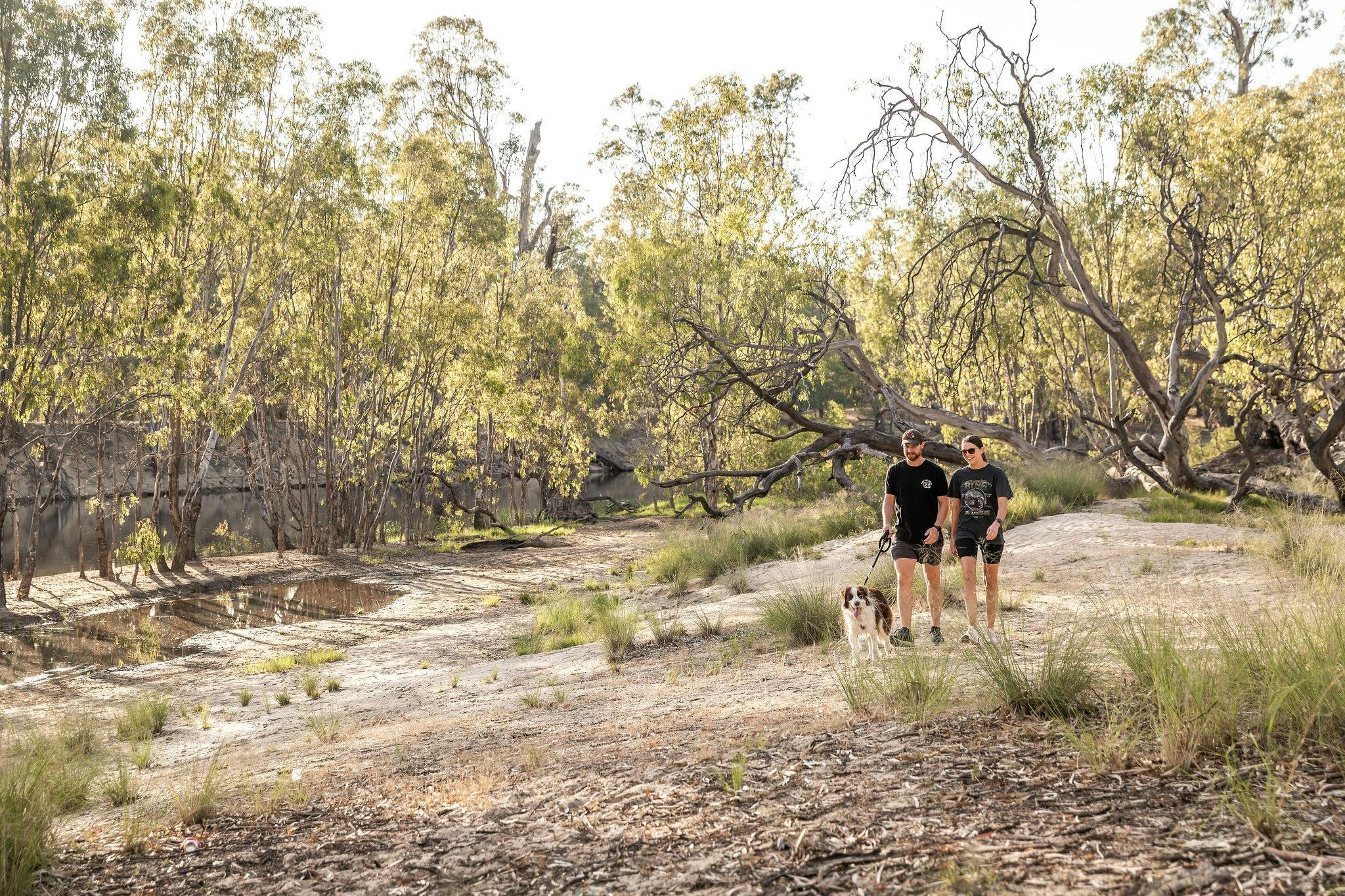 Beach to Beach walking track