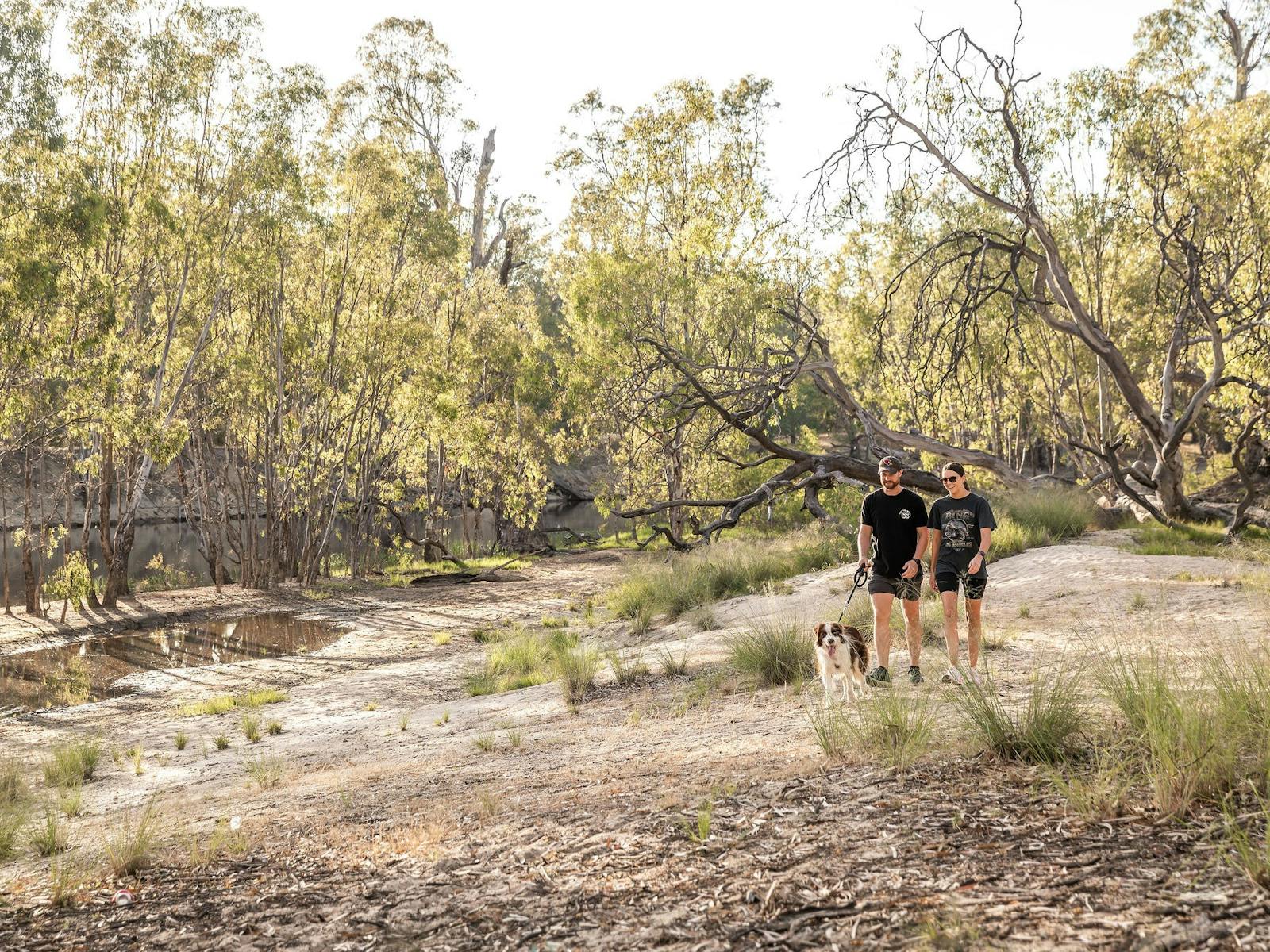 Beach to Beach walking track
