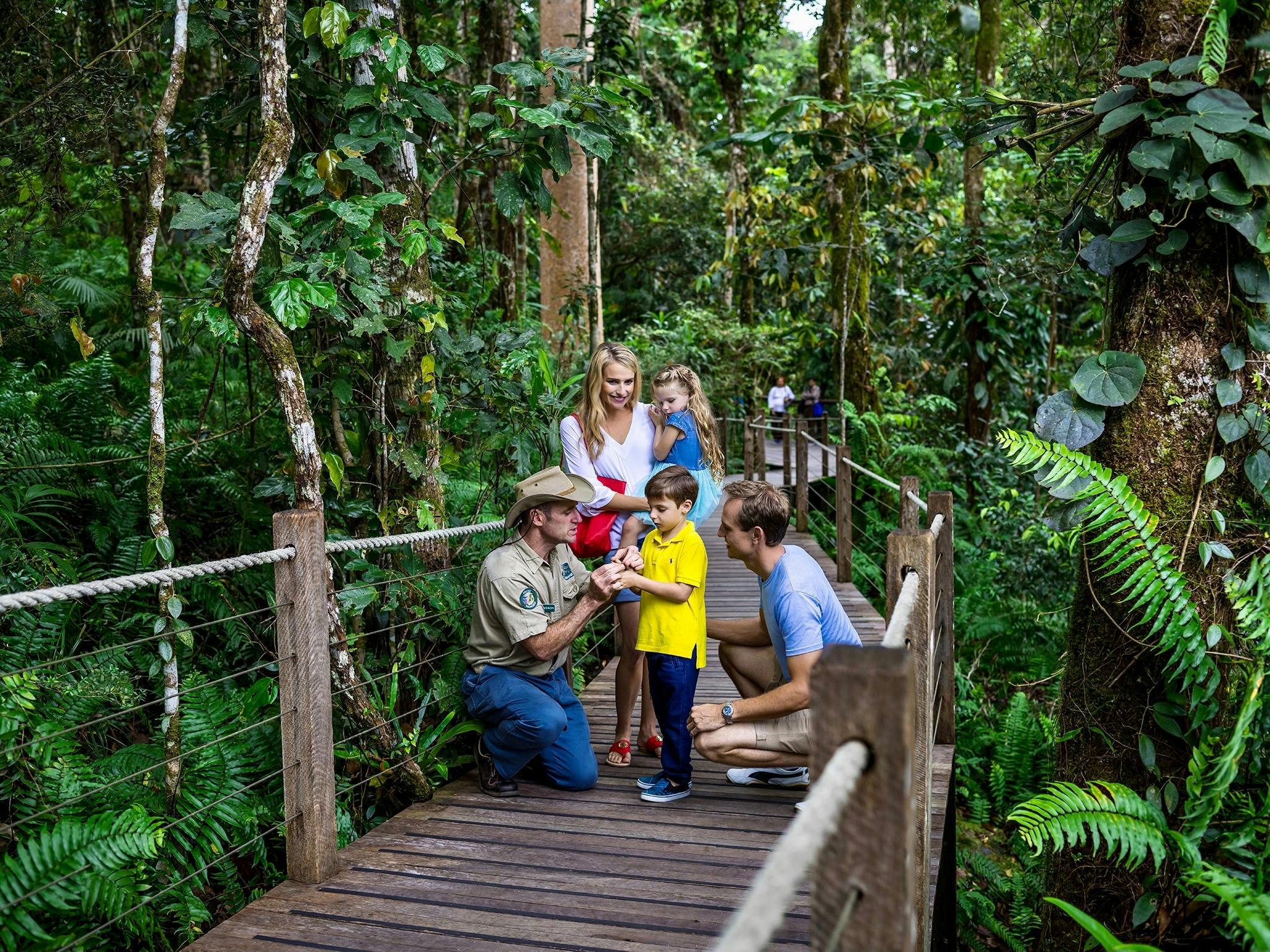 get close and personal with the worlds oldest rainforest
