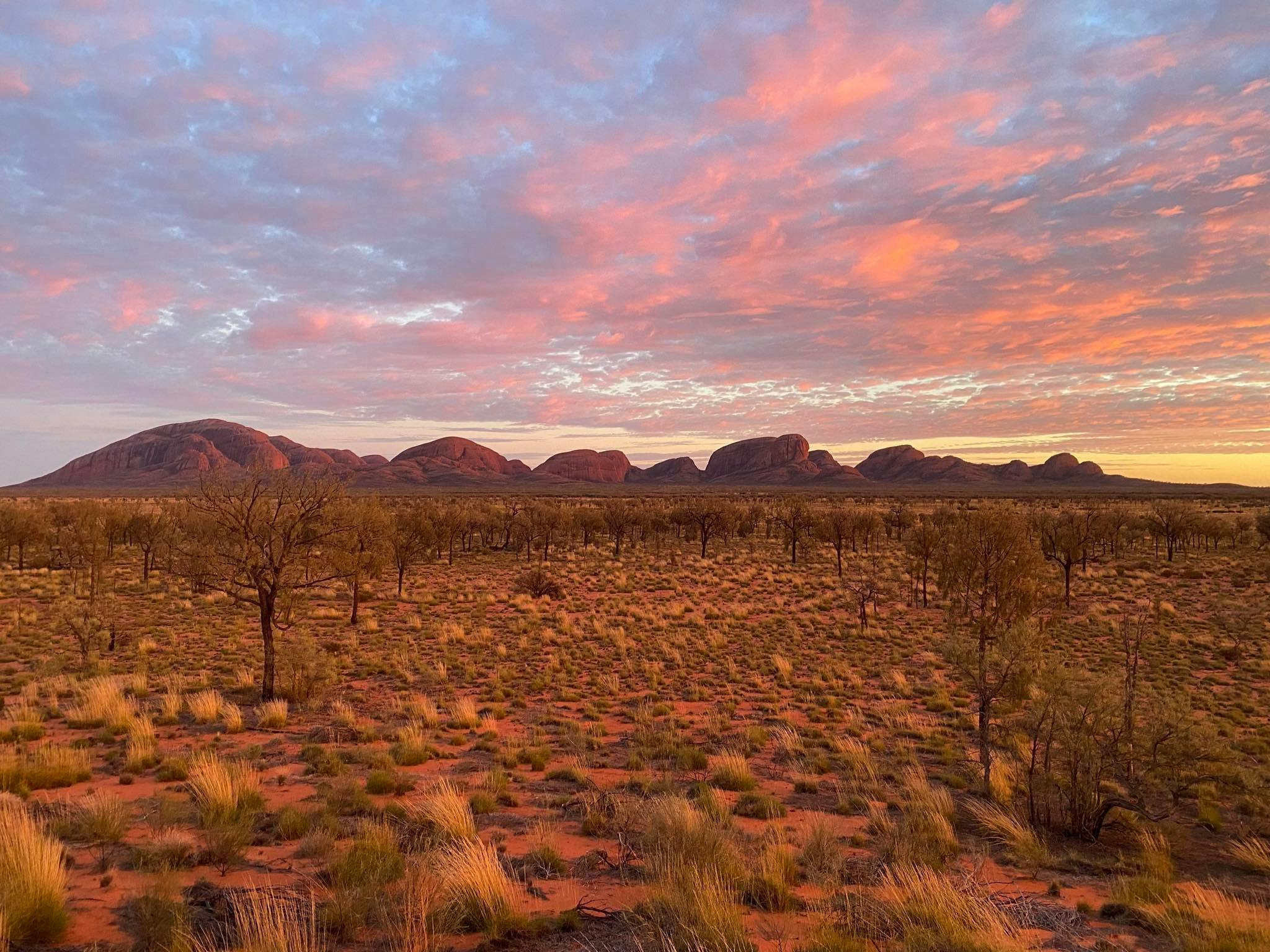 7-Day Explorers Way Alice Springs to Adelaide Accommodated Tour
