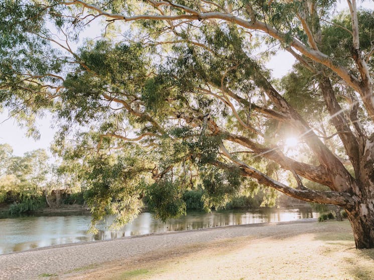 Riverside: Wagga Beach - Beach frontage + riverbank