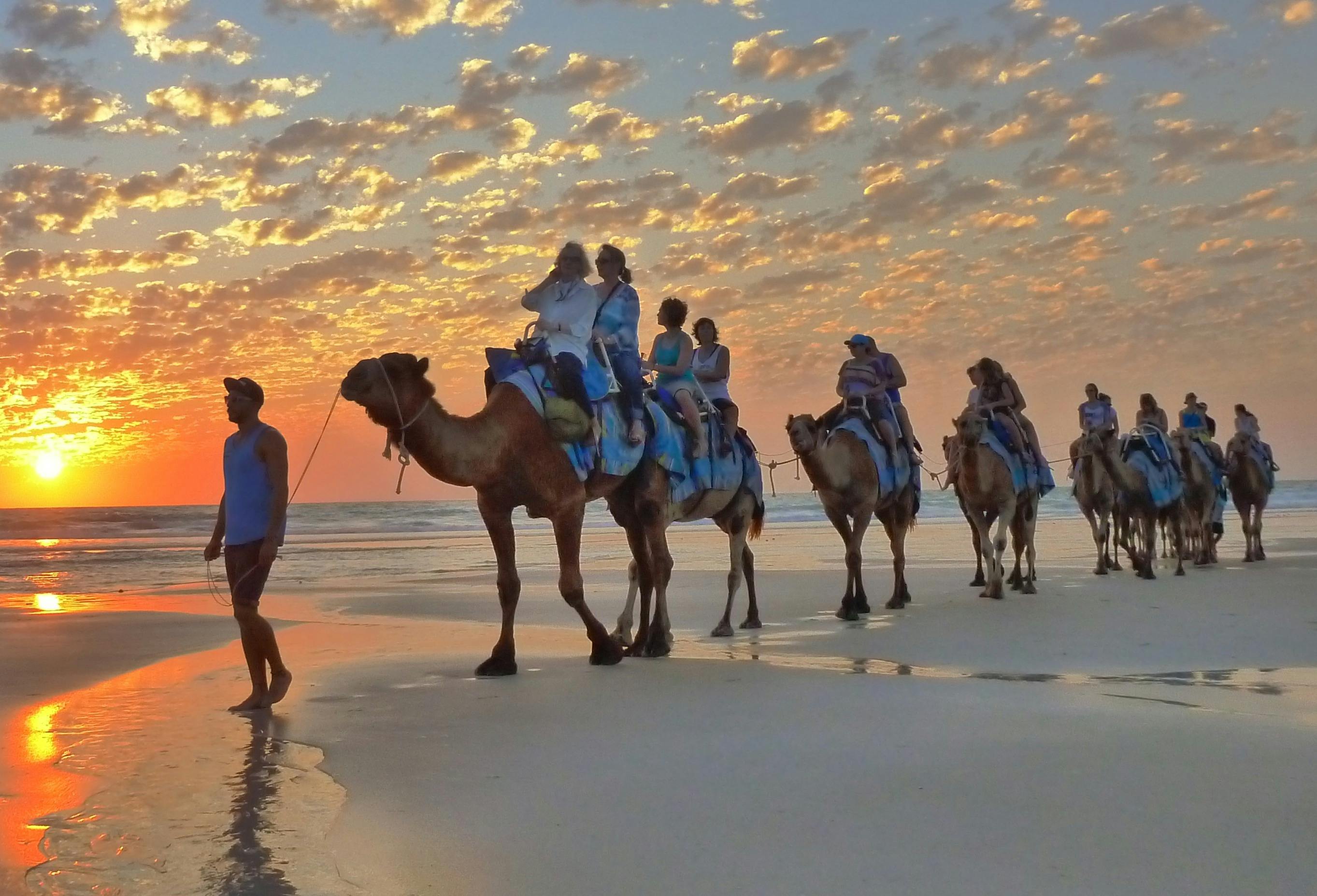 Broome Camel Sunset