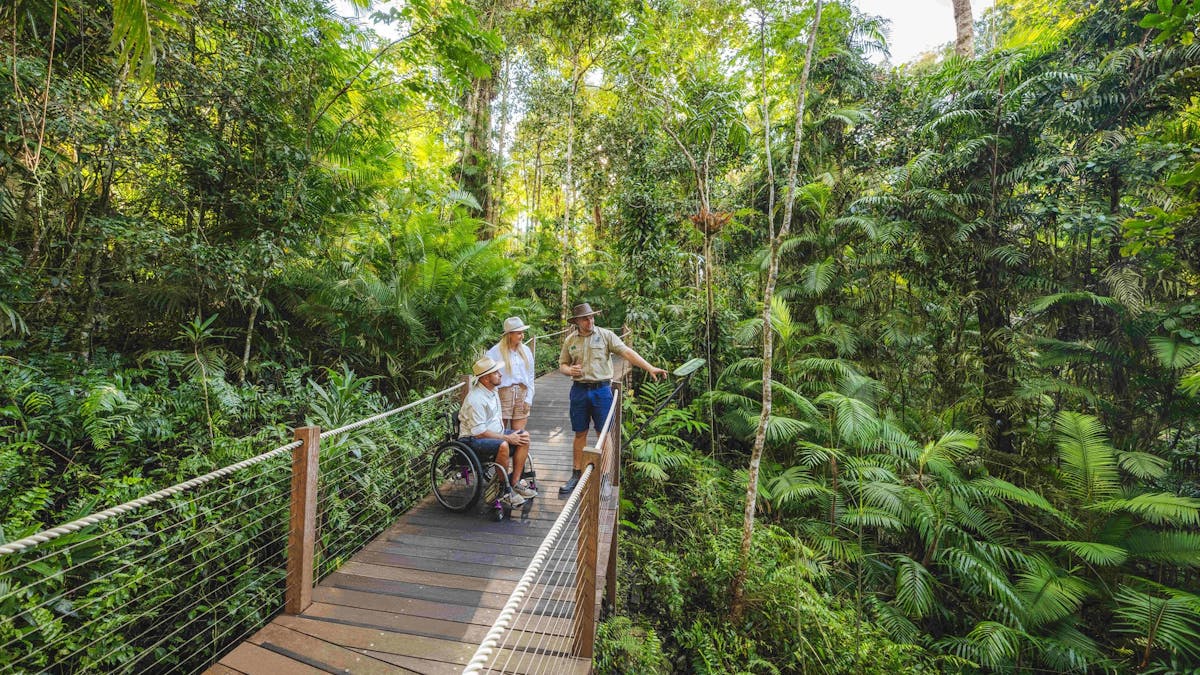 A male wheelchair user and a female standing on a rainforest boardwalk talking to Skyrail Ranger