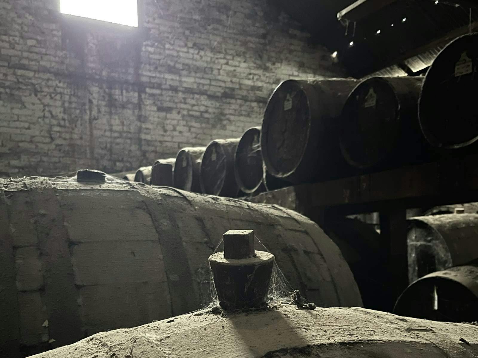 Wine barrels in a darkend cellar with light shining through a single window