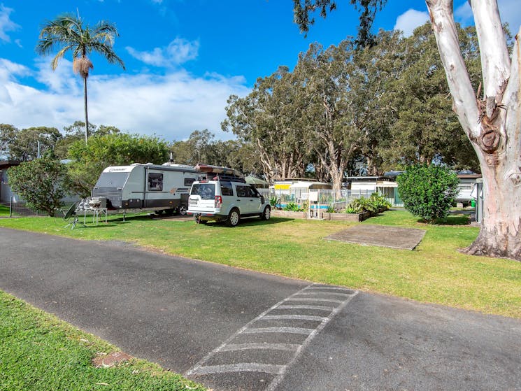 Pet friendly powered sites caravan park dunbogan laurieton