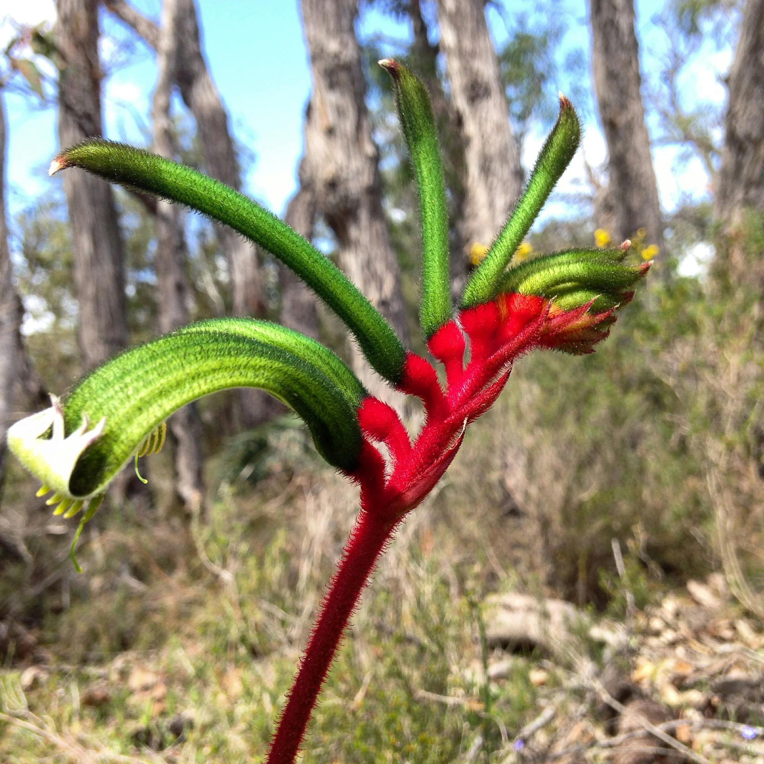South West Eco Discoveries, Abbey, Western Australia