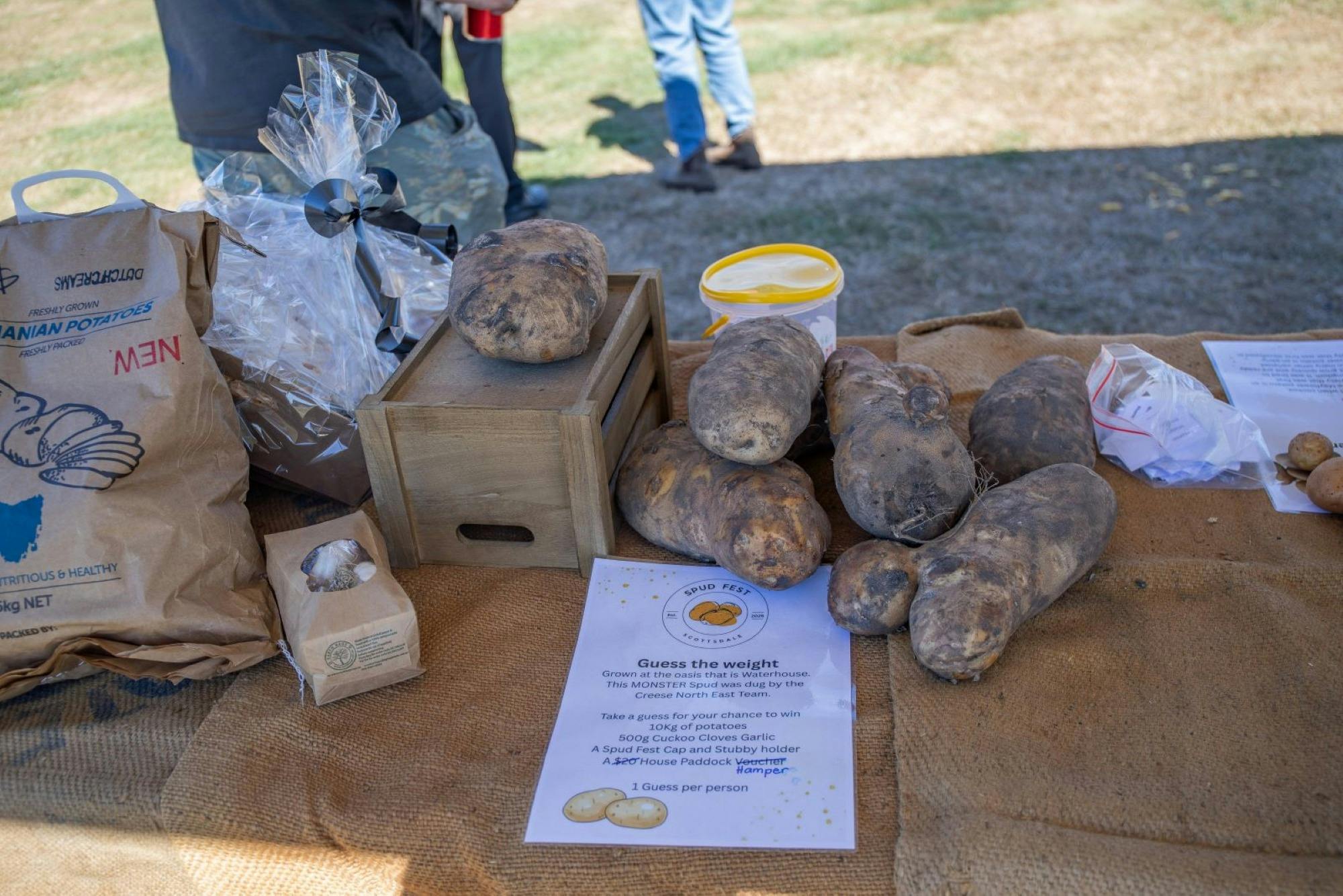 Potato weight guessing competition