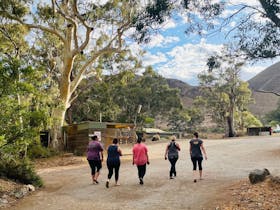Wellness Retreat Attendees Heading Off For A Gentle Bush Walk