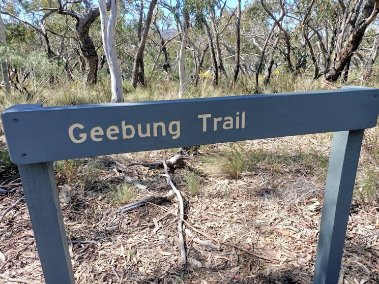 Bushwalking, Wambool reserve, Bathurst