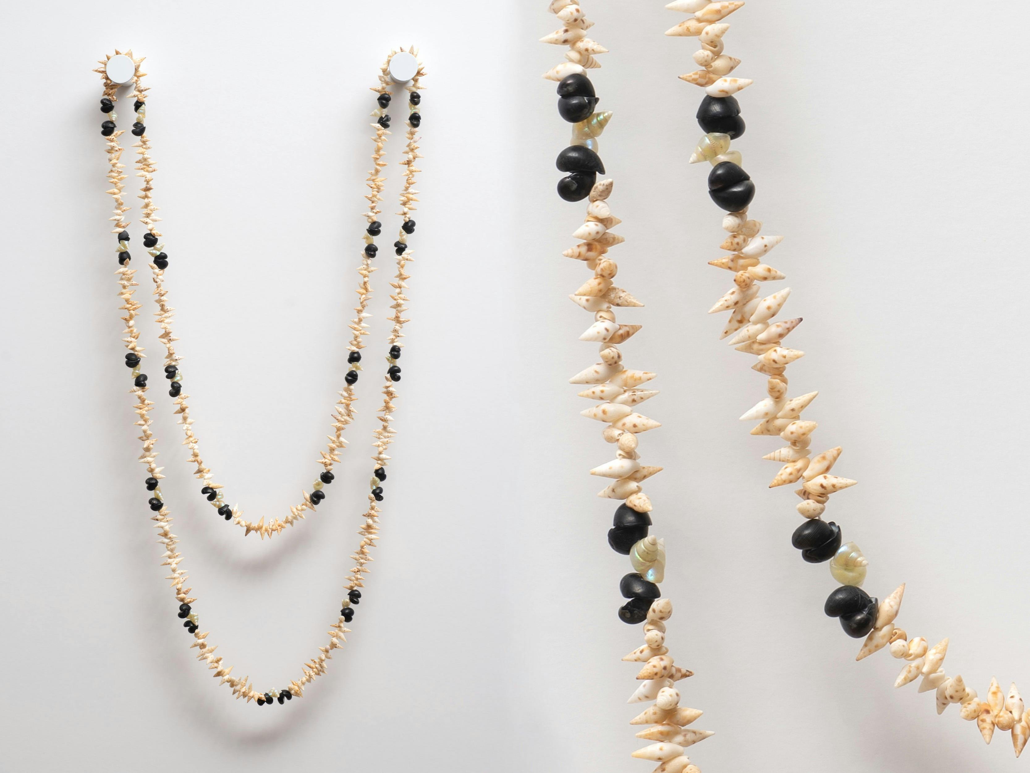 Traditional Tasmanian aboriginal shell necklace
