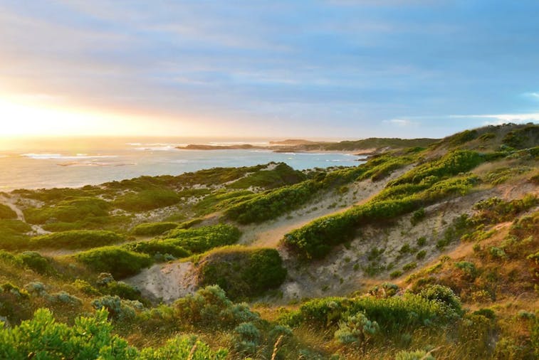 Limestone Coast Experience
