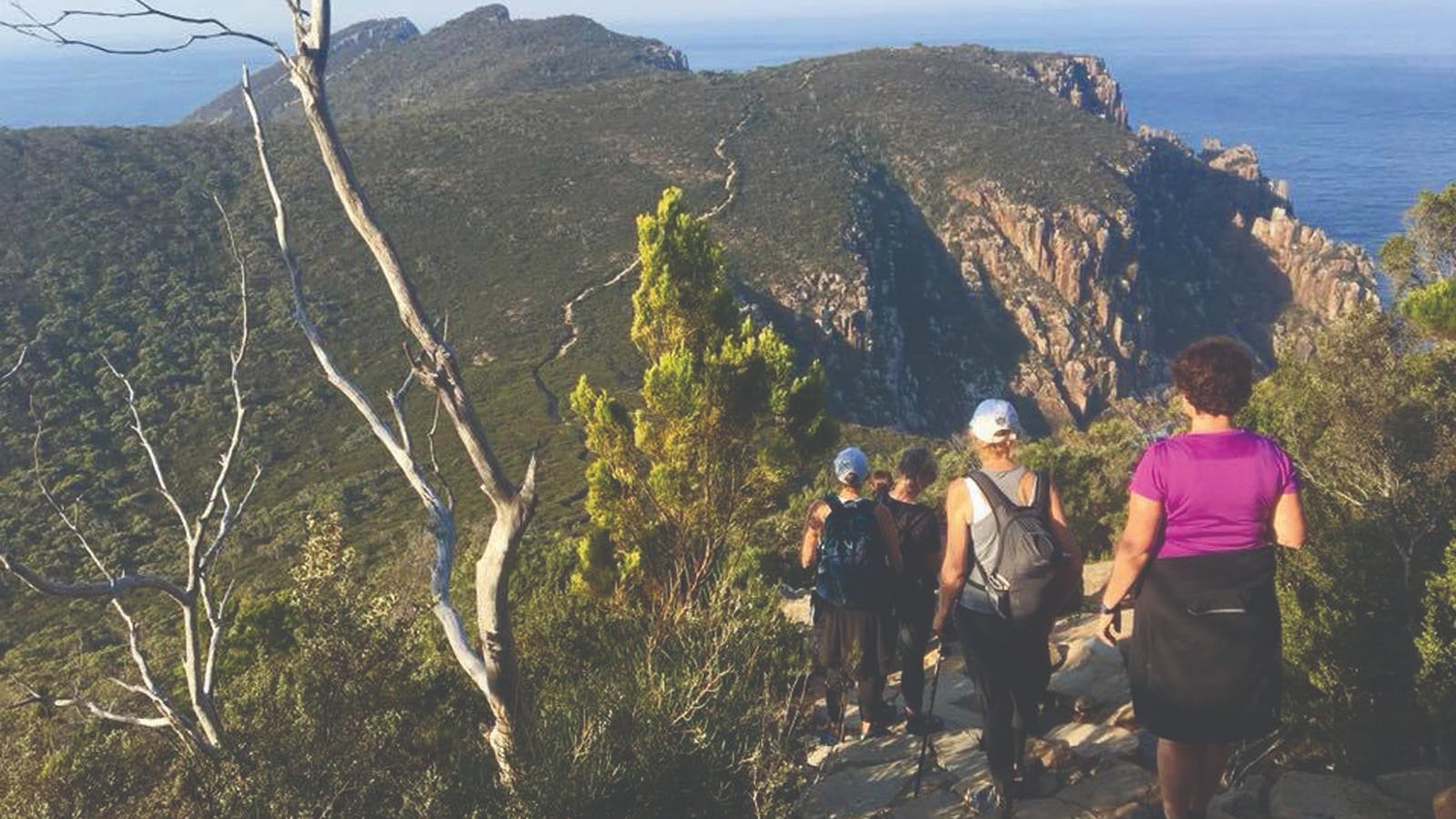 Three Capes Walk - Life's An Adventure - Hobart and Beyond