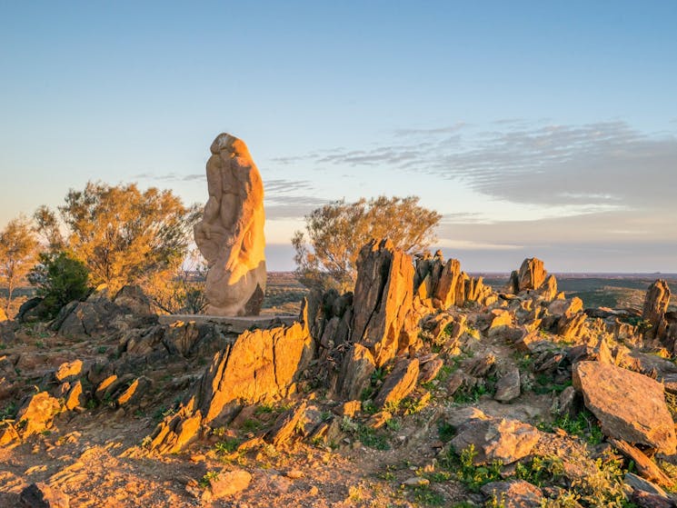 The Living Desert and Sculpture