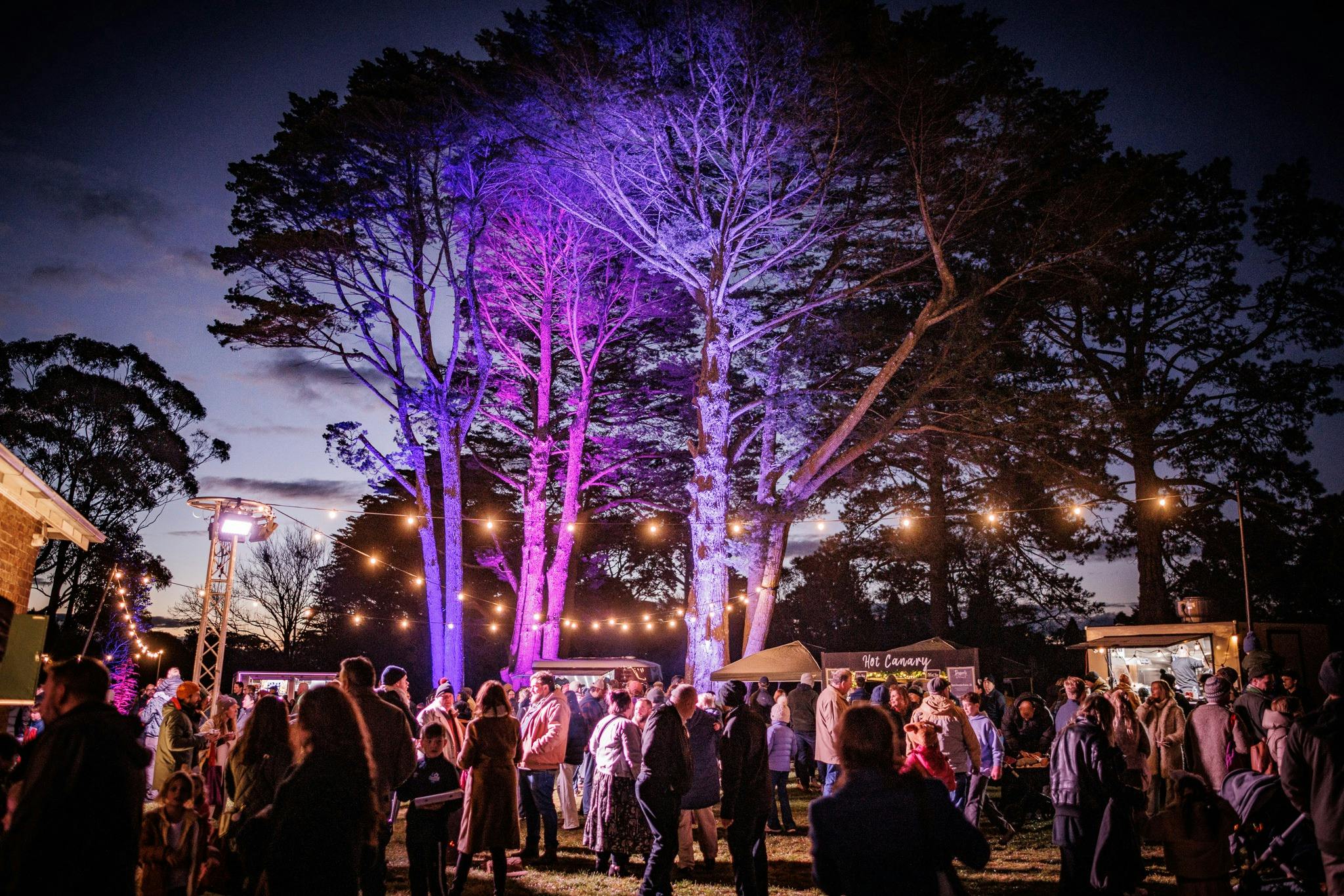 A Midwinter Festival