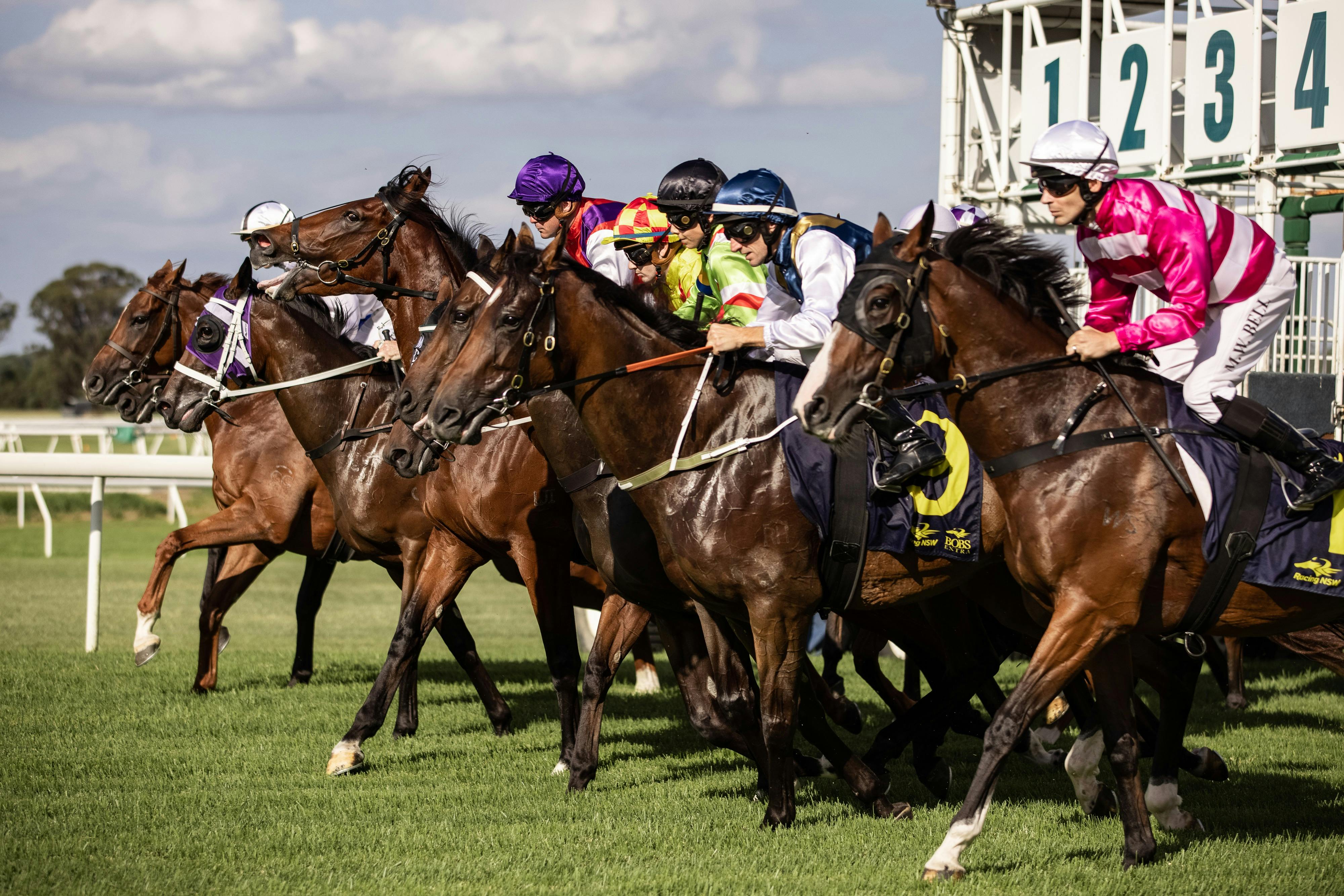 Barrier Jump at Hawkesbury Race Club