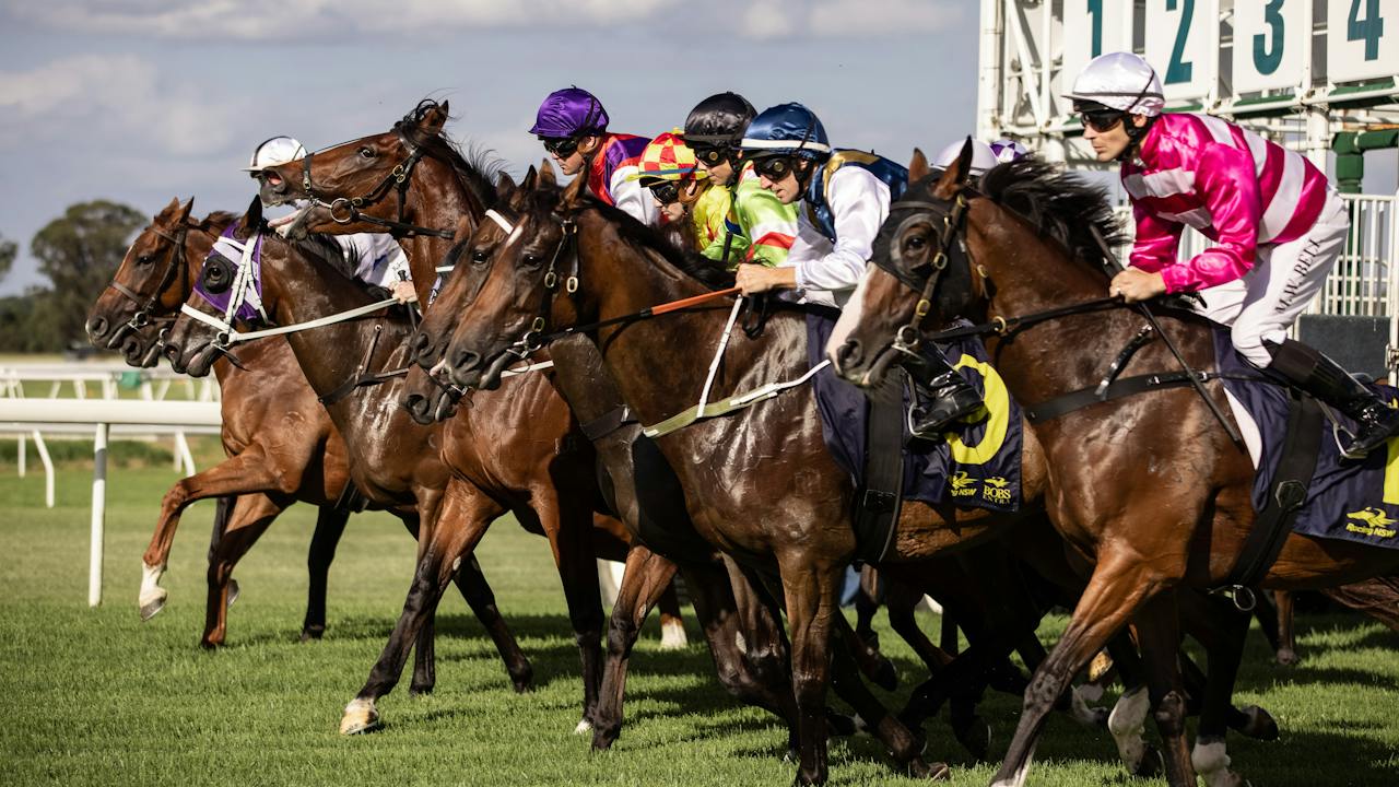 Barrier Jump at Hawkesbury Race Club