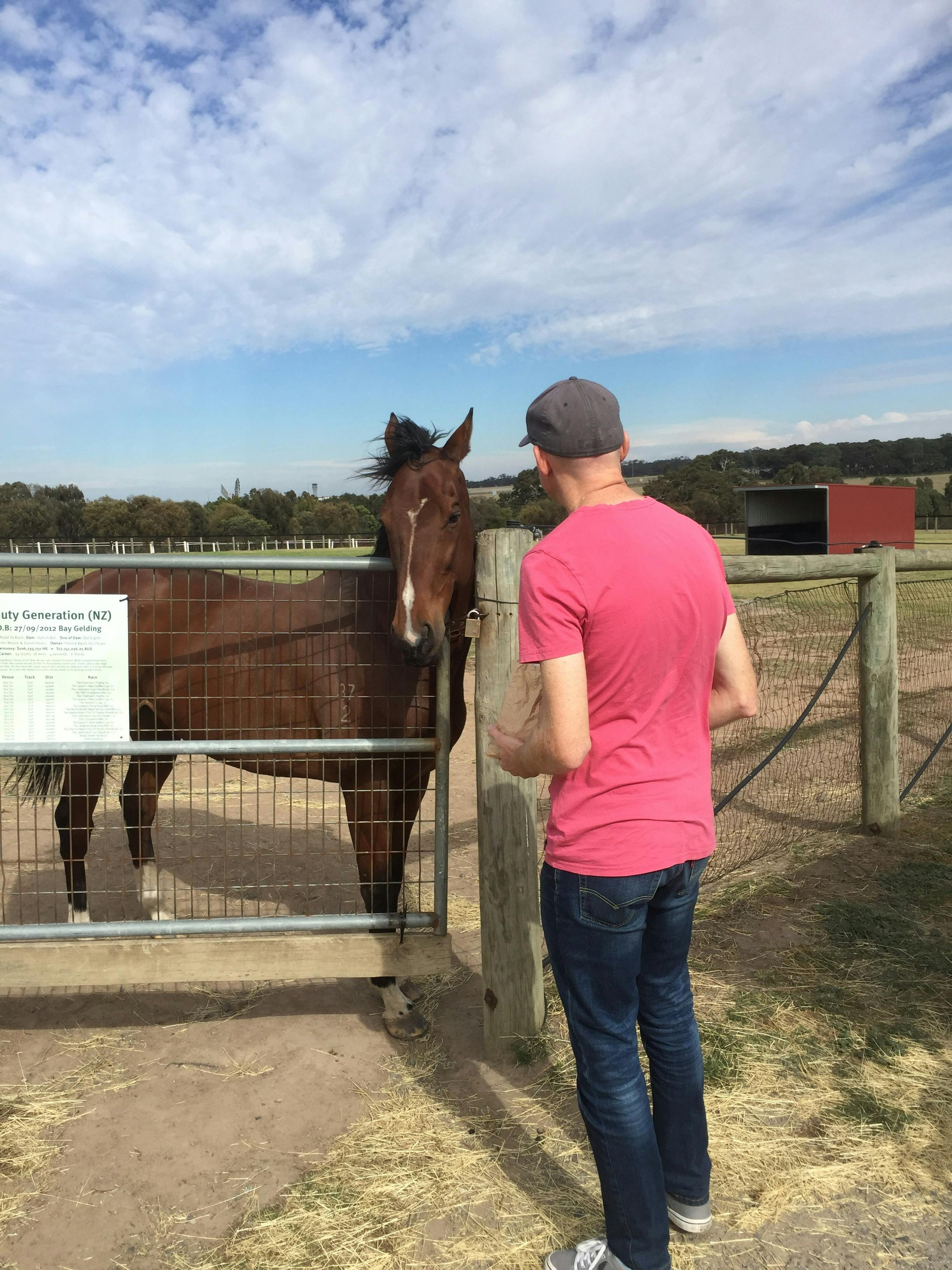 People patting and feeding racehorses