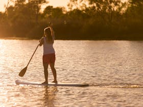 Paddle boarding near Birdsville
