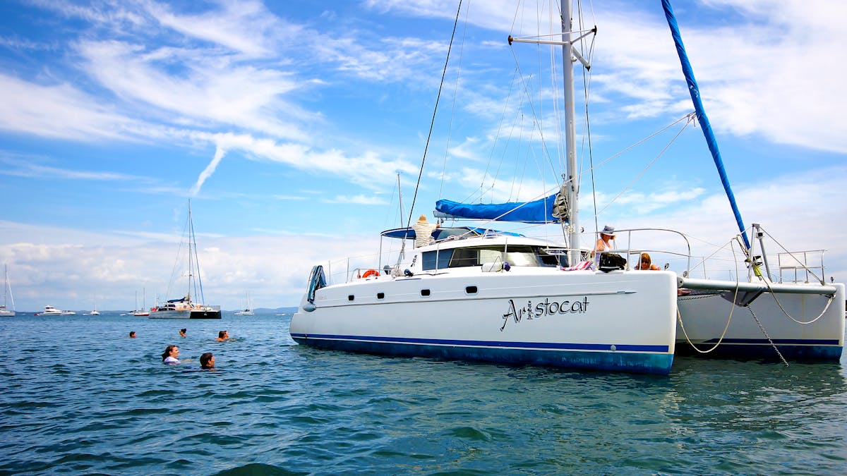 aristocat_sailing