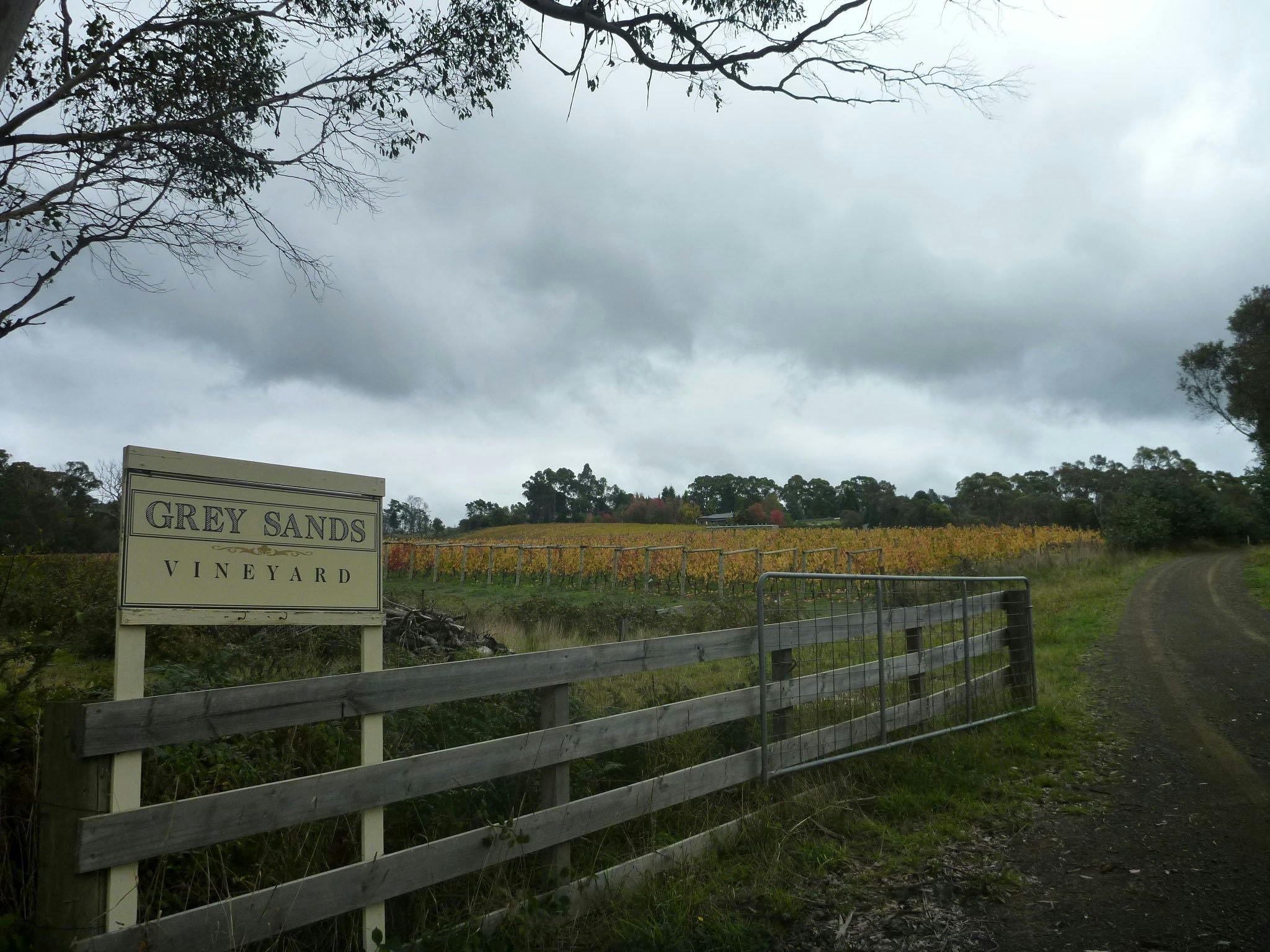 A stormy sky over Grey Sands Vineyard