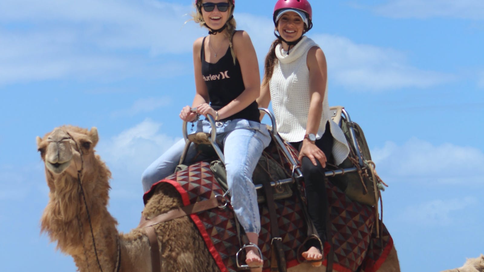 alesha and tahni