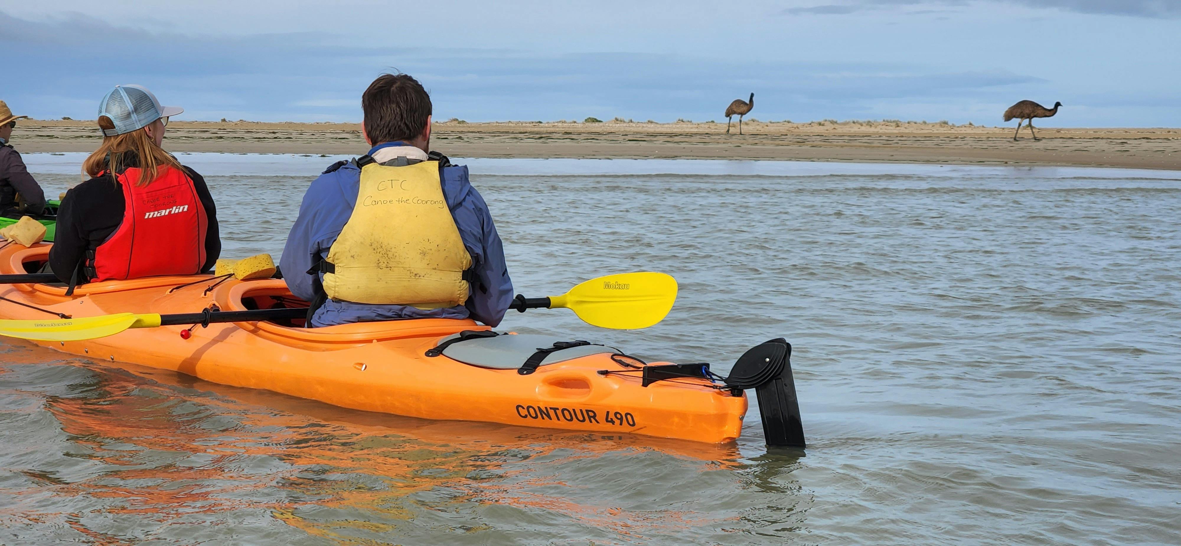 Canoeing on the Coorong spotting Emus