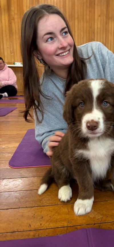 A brown and white puppy sits beside a participant holding a colourful toy.
