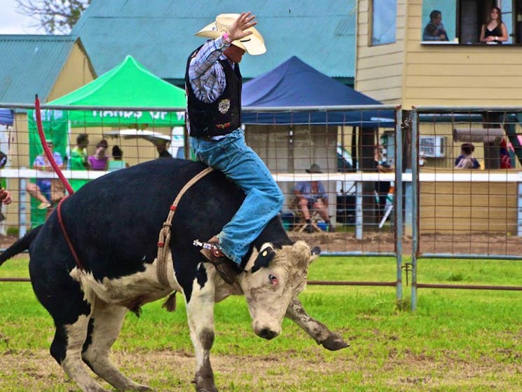 cowboy on bucking bull