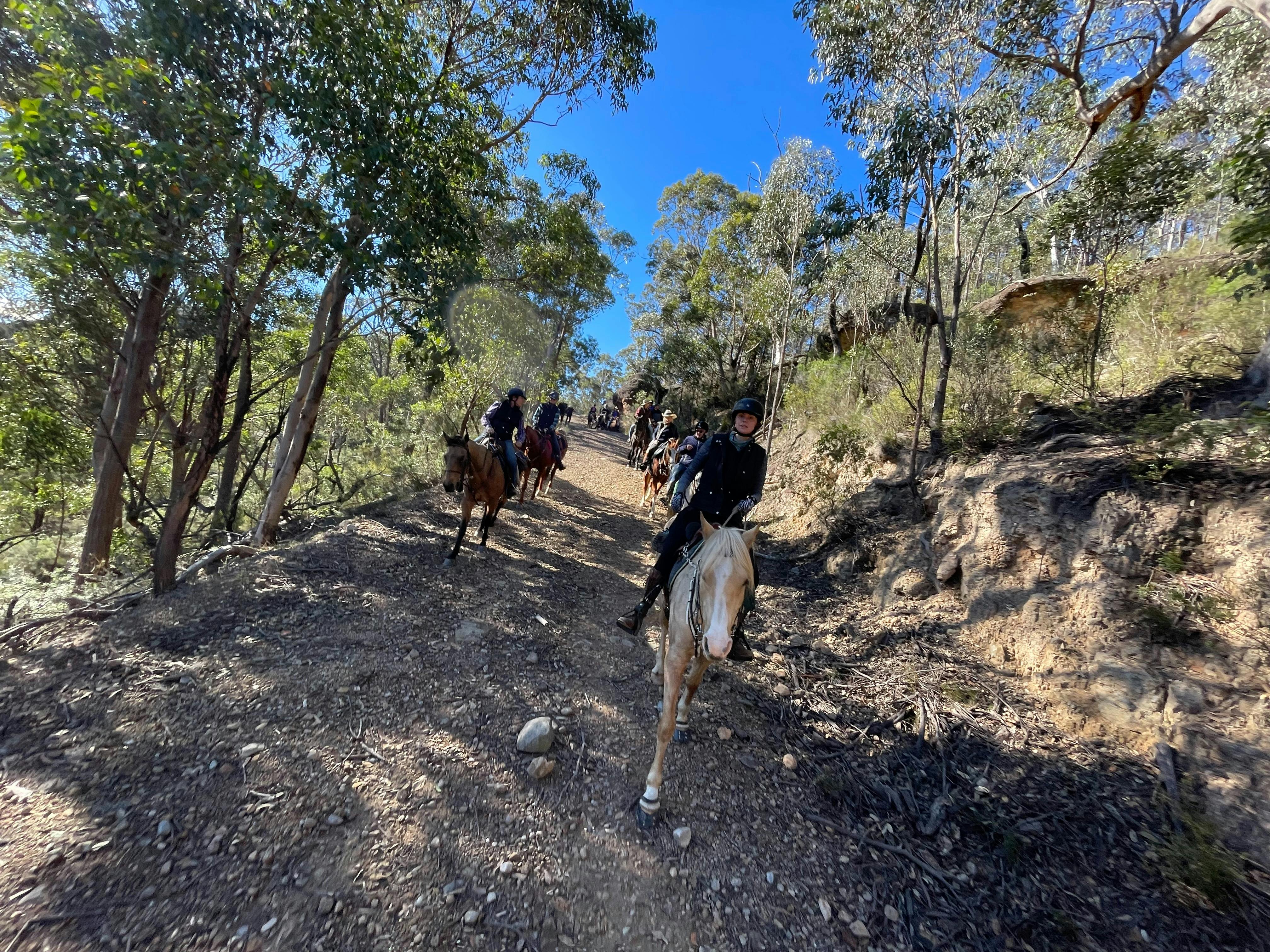 group of horse riders coming down steep hill hill