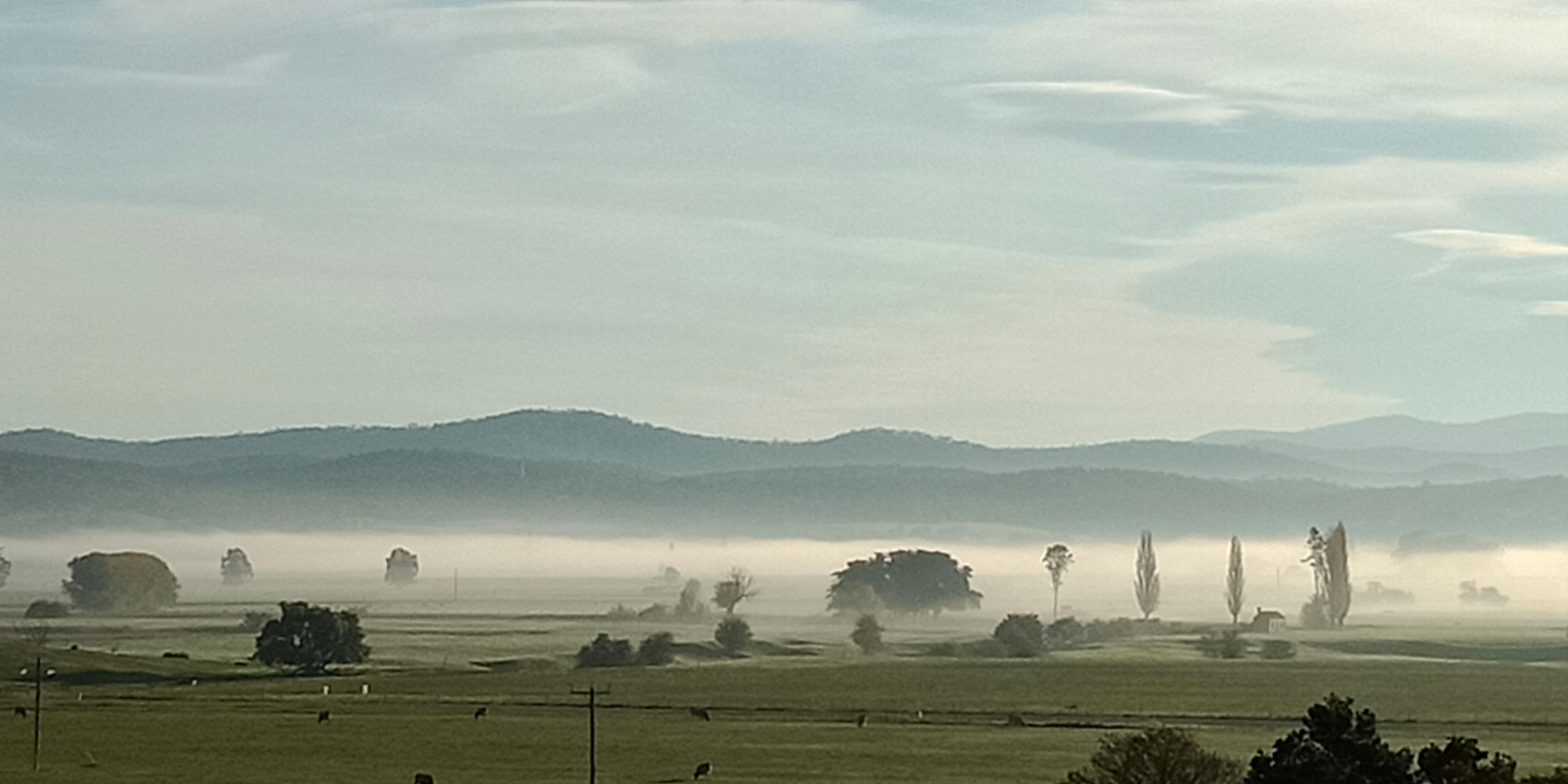 Lovely foggy view from the courtyard.