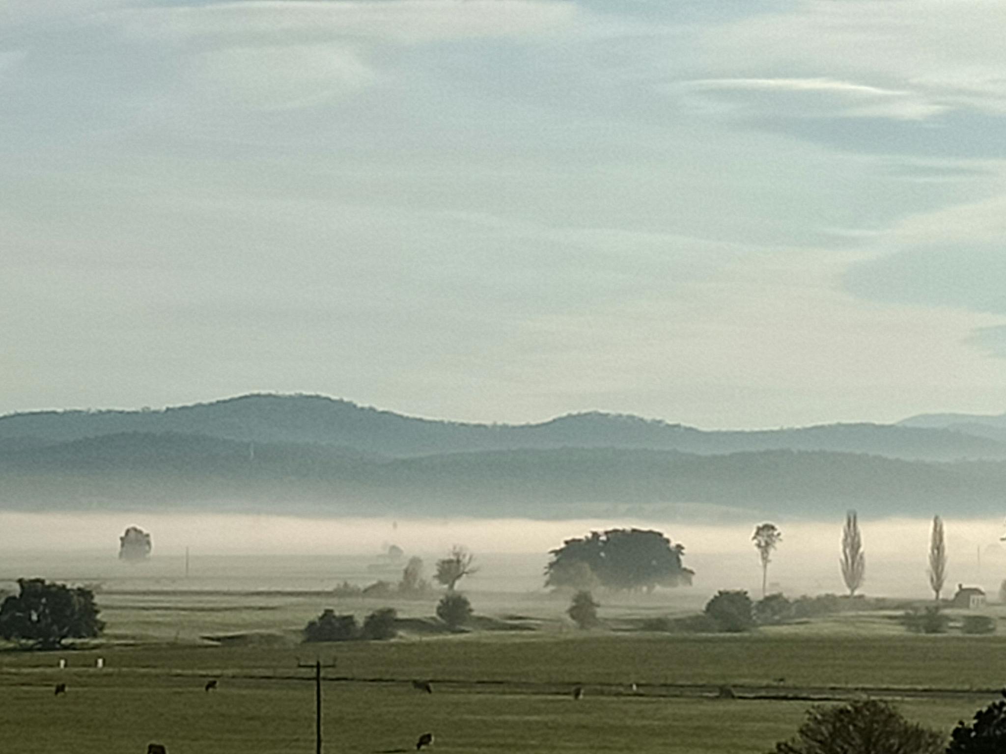 Lovely foggy view from the courtyard.