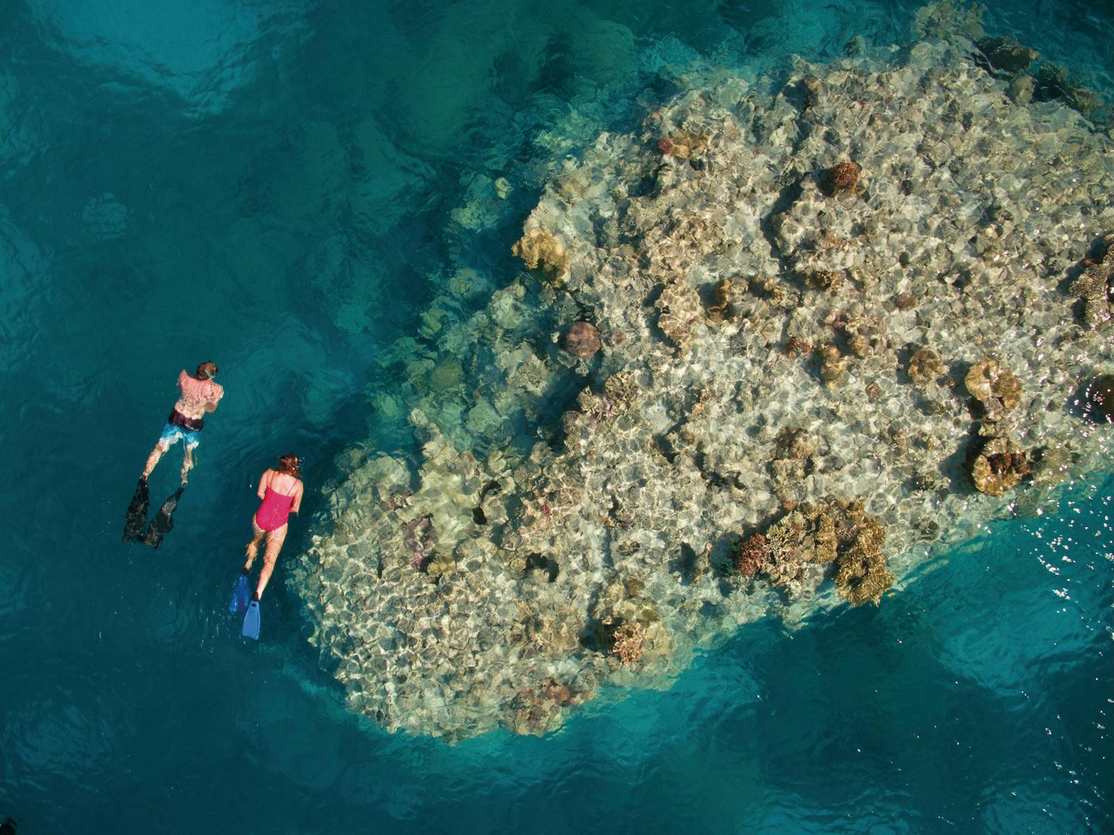 Snorkeling on the reef