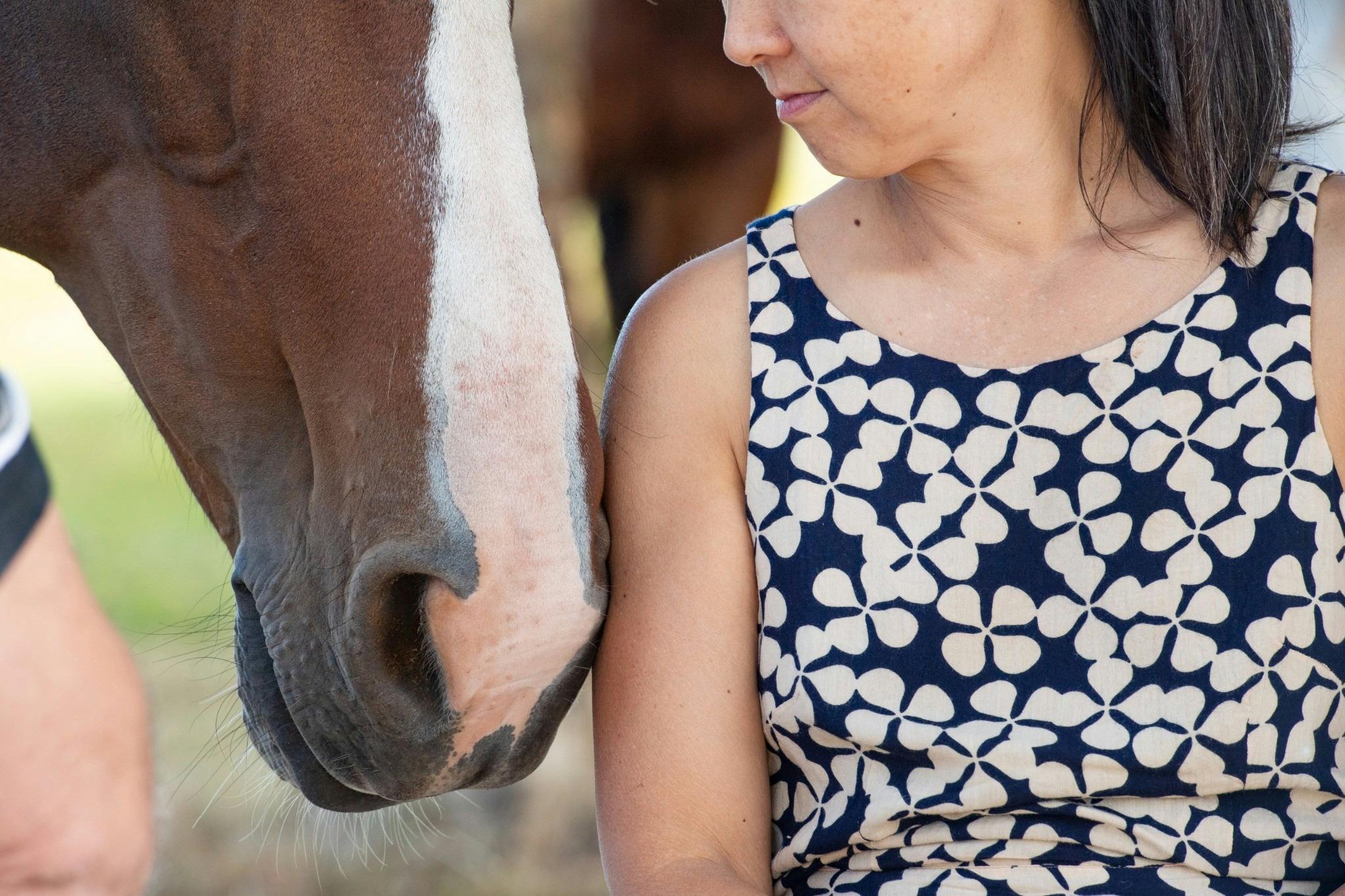 Know Thyself One Day Retreat with Heart of the Horse