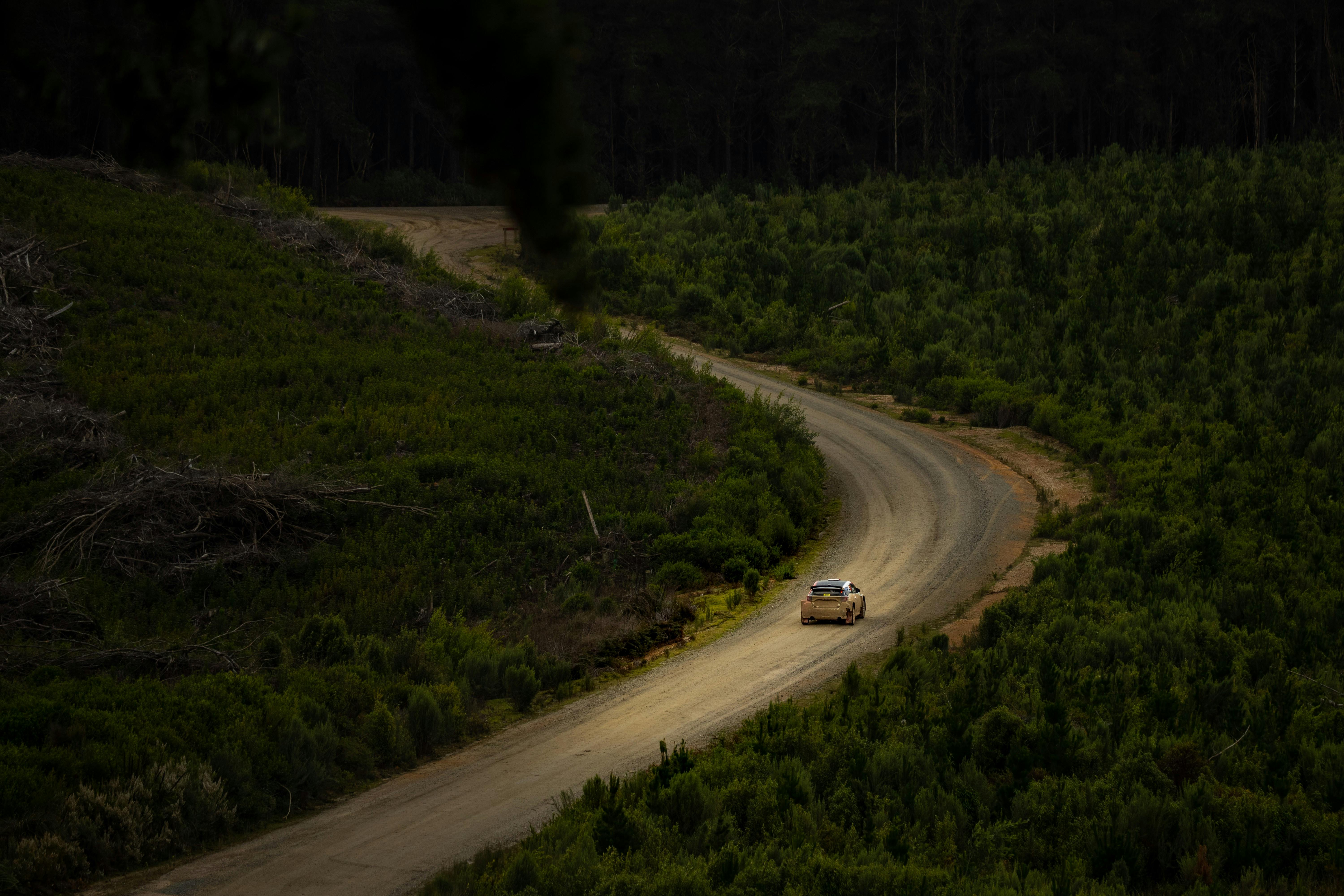 Large forest with gravel road in the middle, a car is driving down it