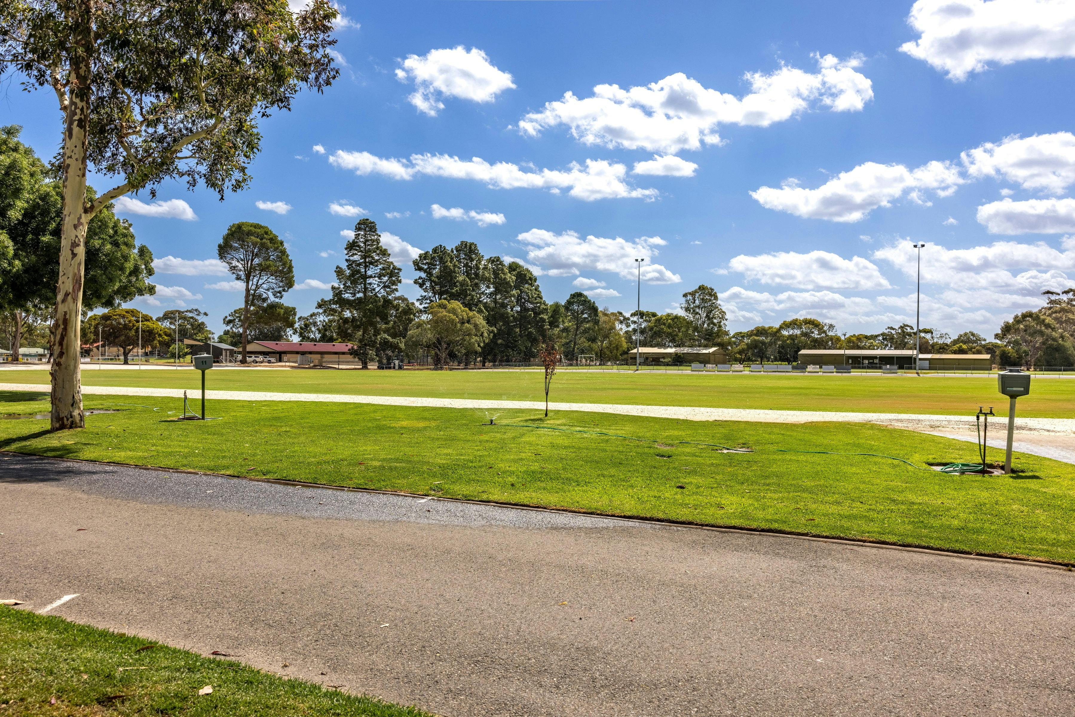 C section site