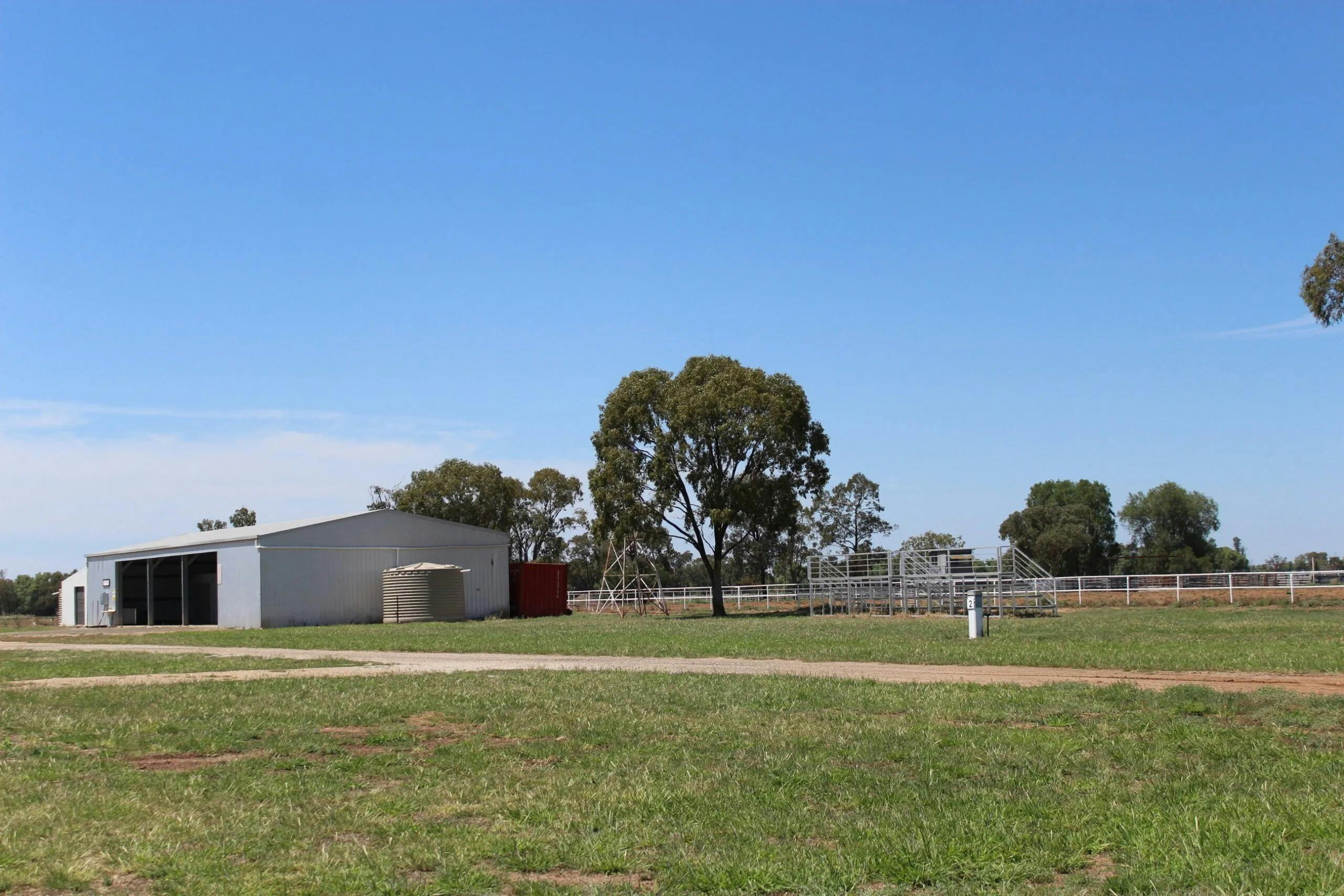 Boggabri Showground