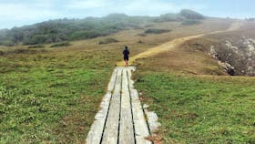 Brooms Head Back Beach