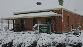 Lavender House in Railway Park
