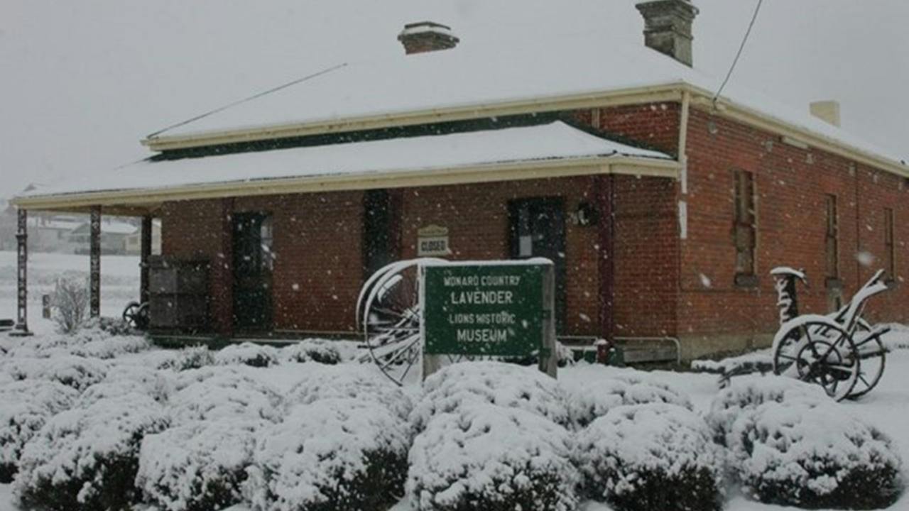 Lavender House