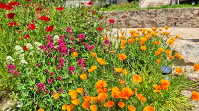 Cuppa with gardens