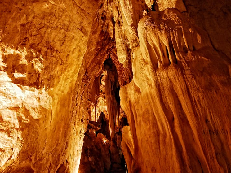 Wombeyan caves