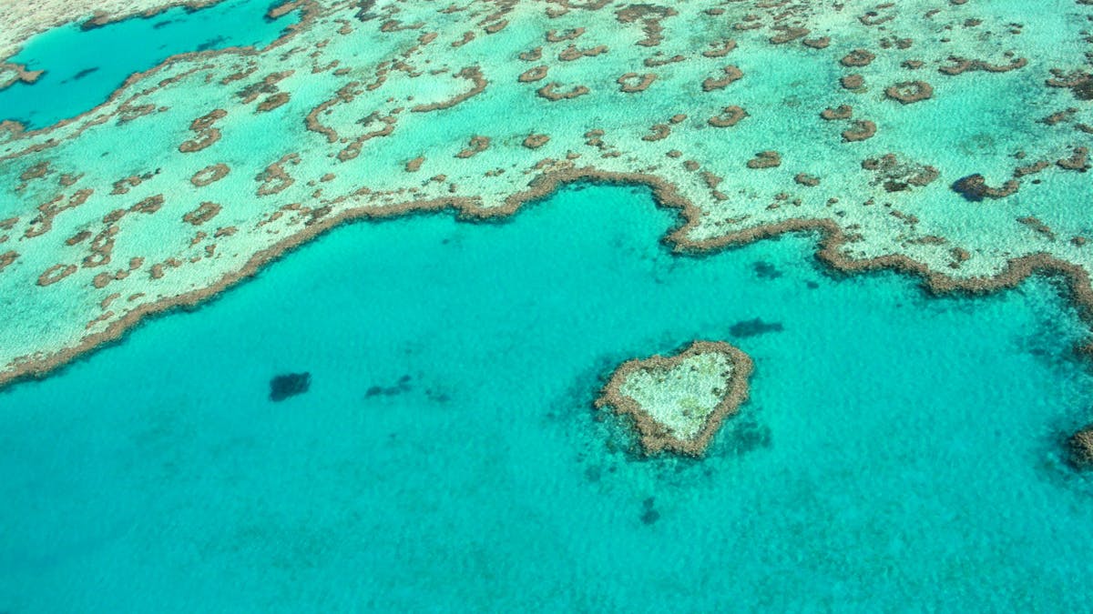 Heart shaped Coral island in whitsunday aquablue coloured water