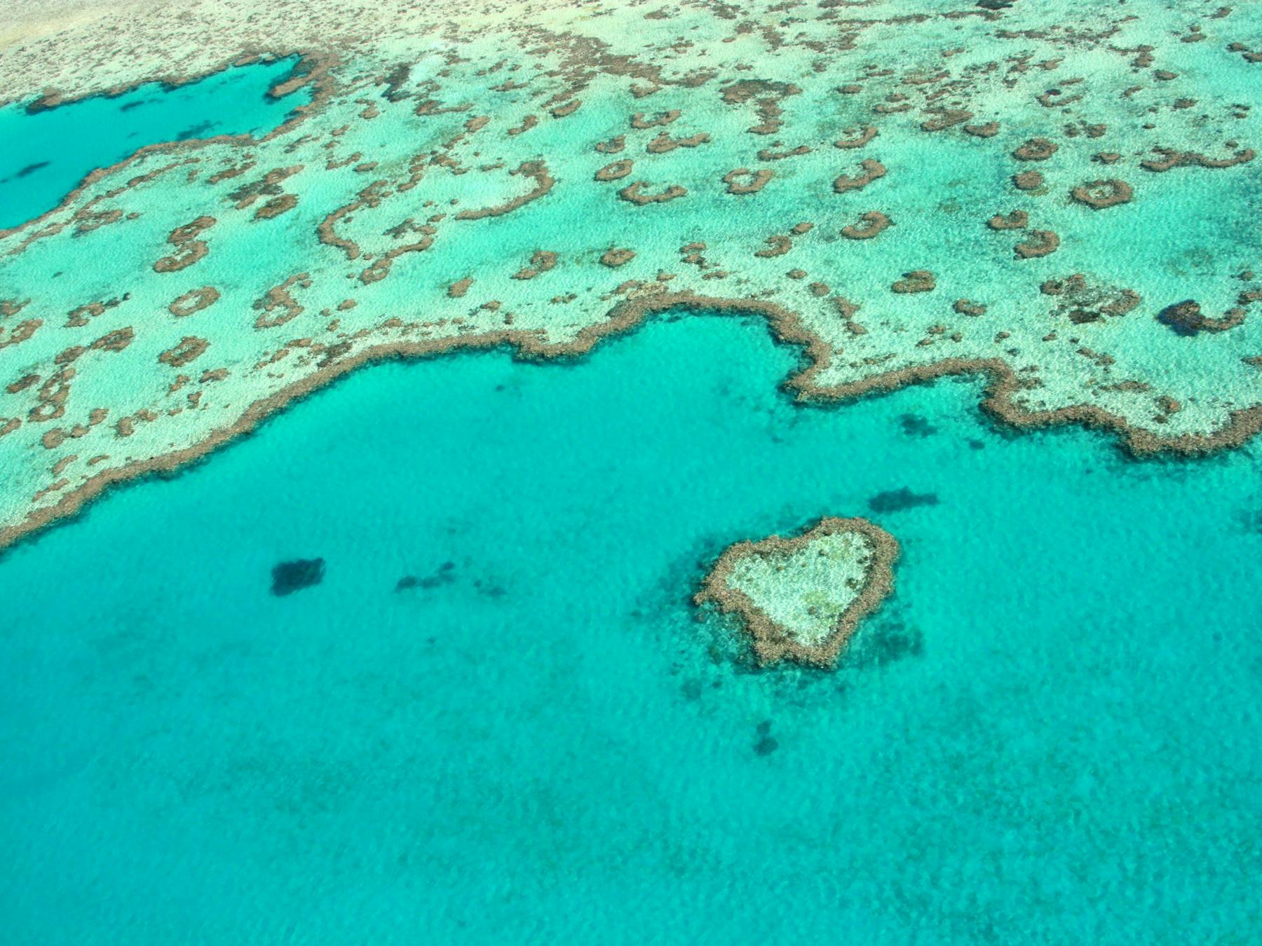 Heart shaped Coral island in whitsunday aquablue coloured water