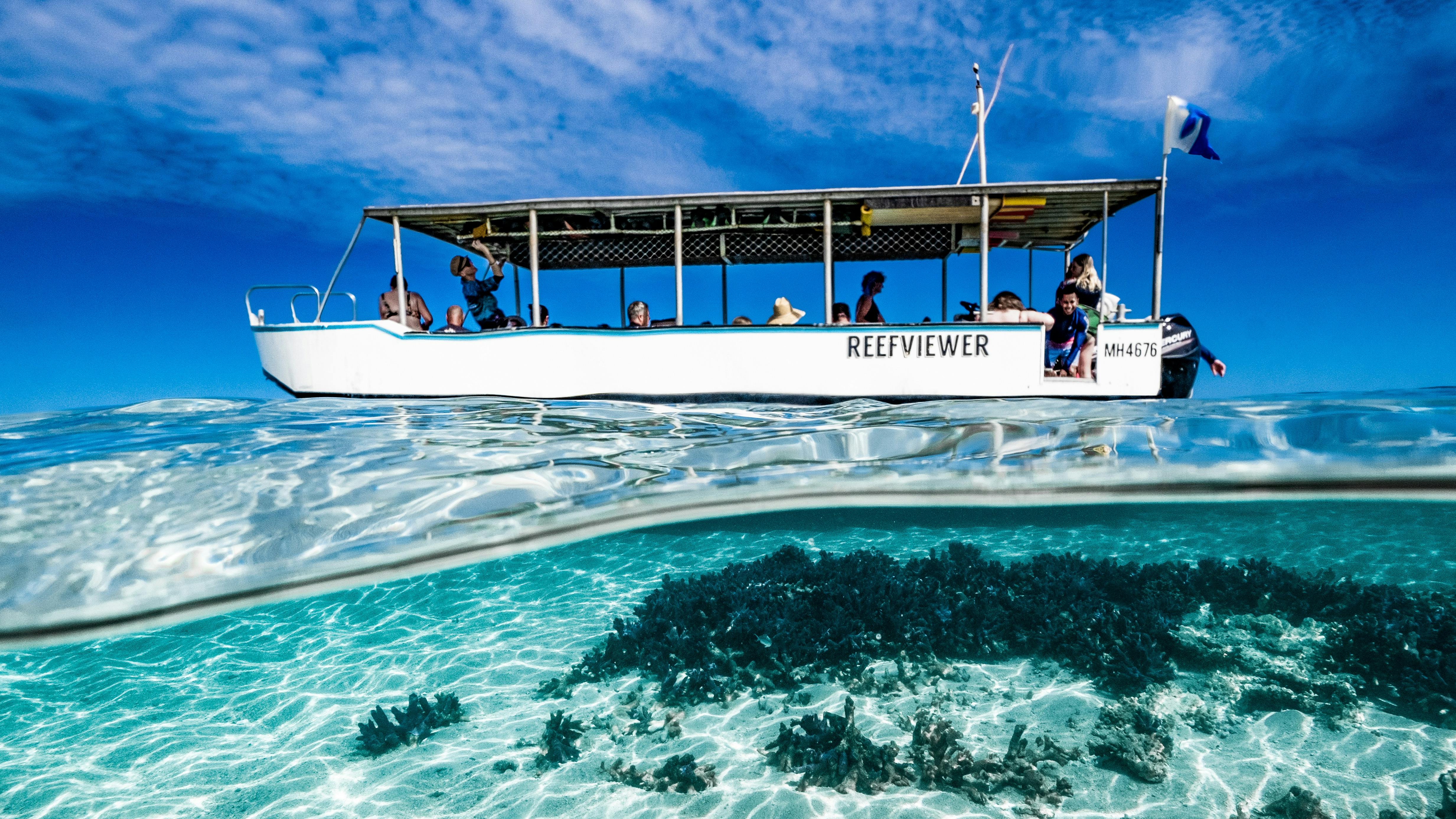 サンゴの産卵とジンベエザメ Tourism Western Australia サンゴの産卵とジンベエザメ Tourism Western Australia